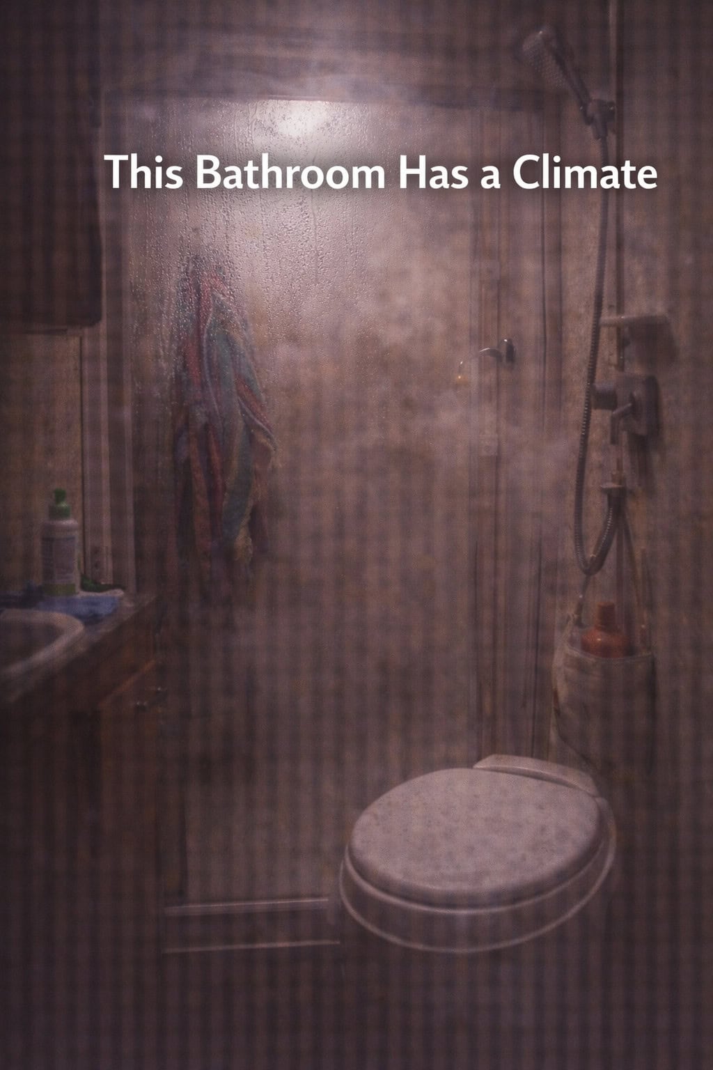 This Bathroom Has a Climate