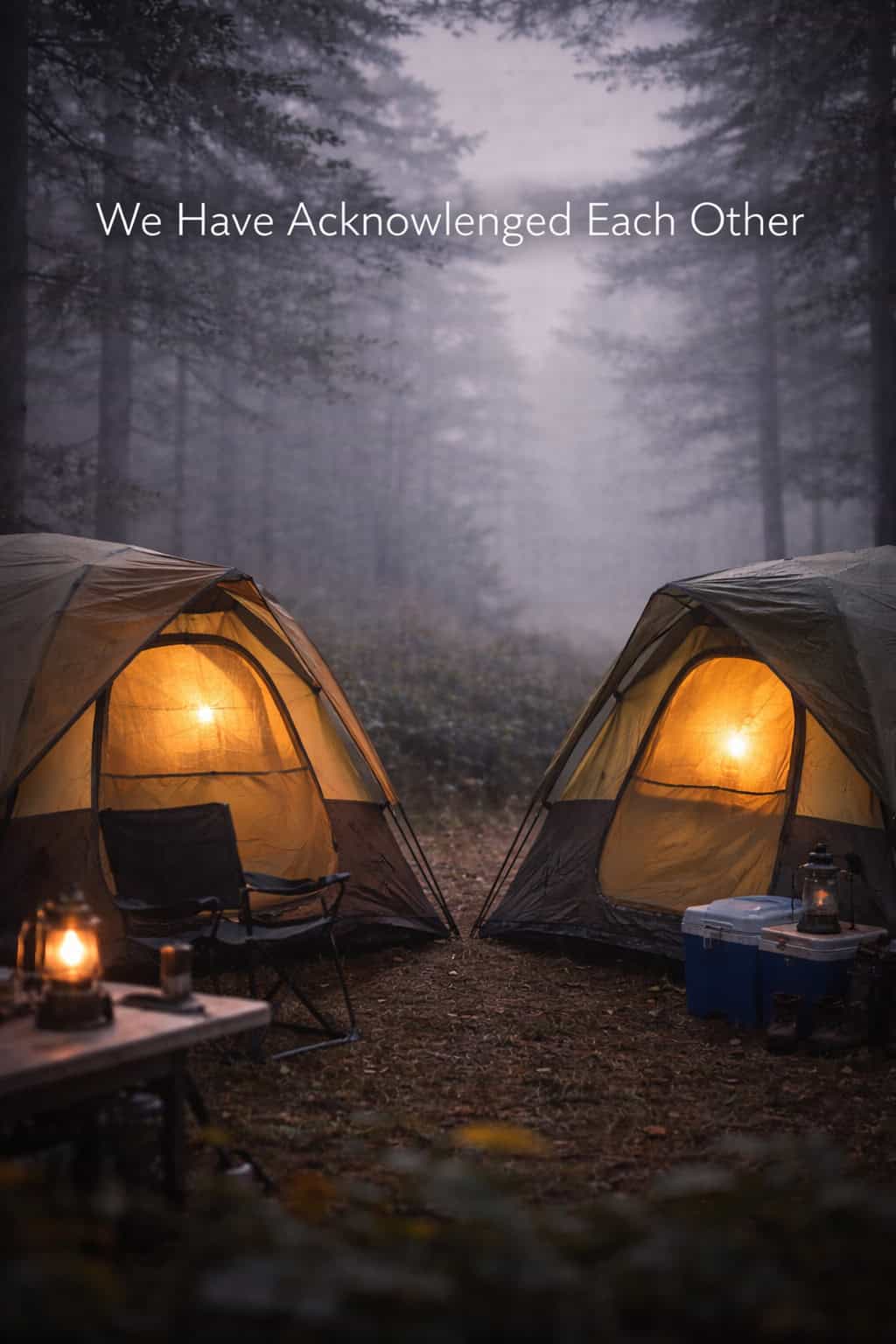 We Have Acknowledged Each Other