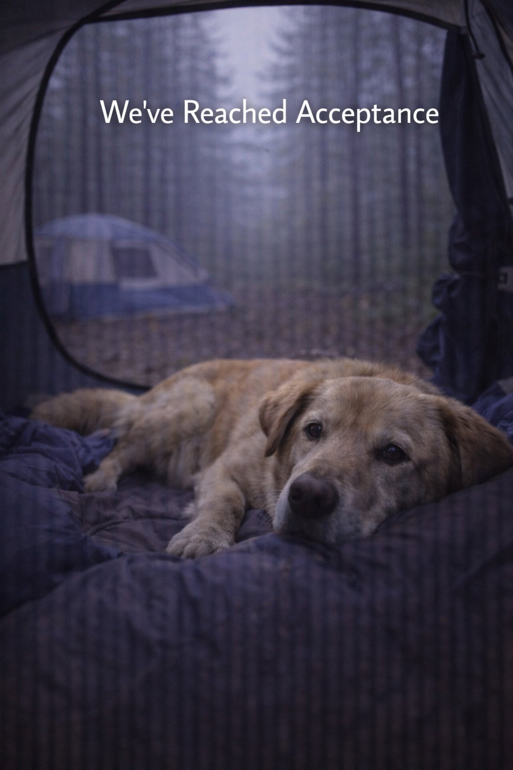 We’ve Reached Acceptance