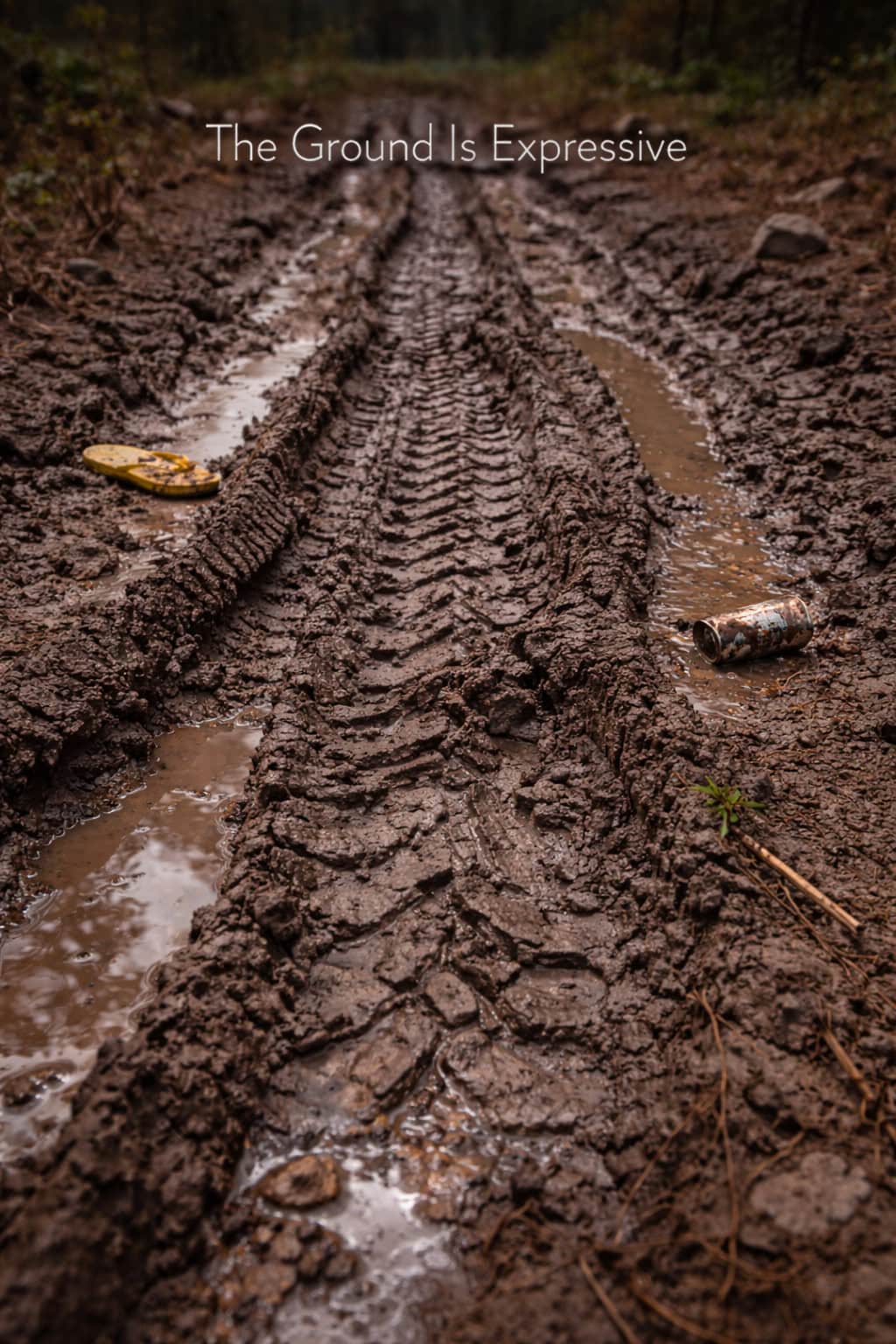 The Ground Is Expressive