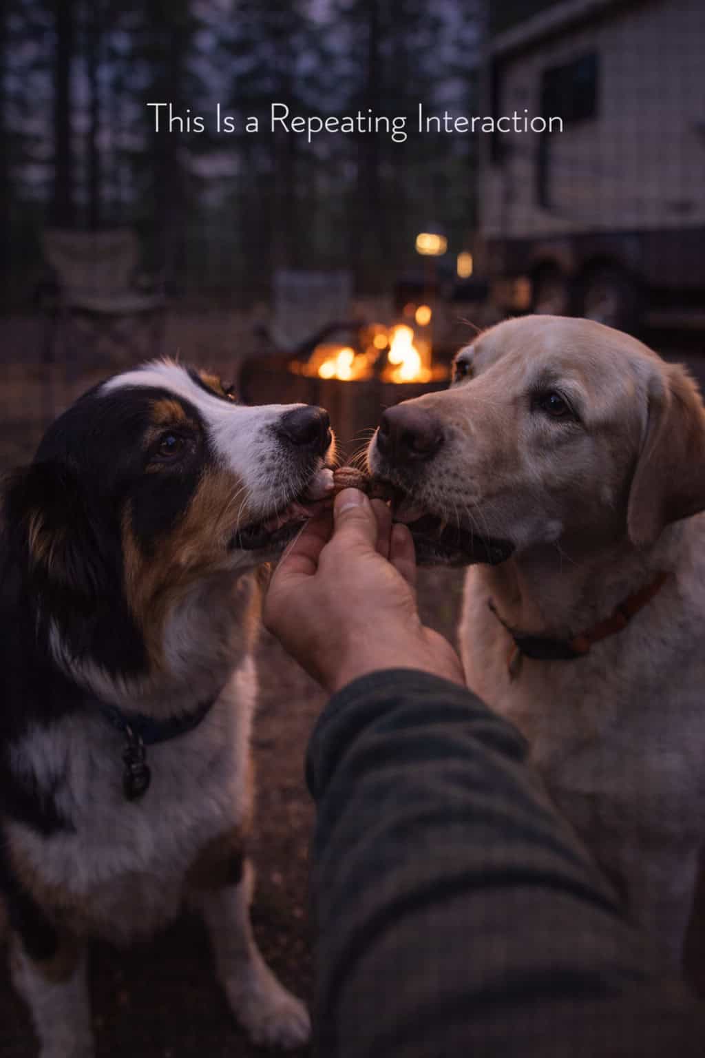 This Is a Repeating Interaction