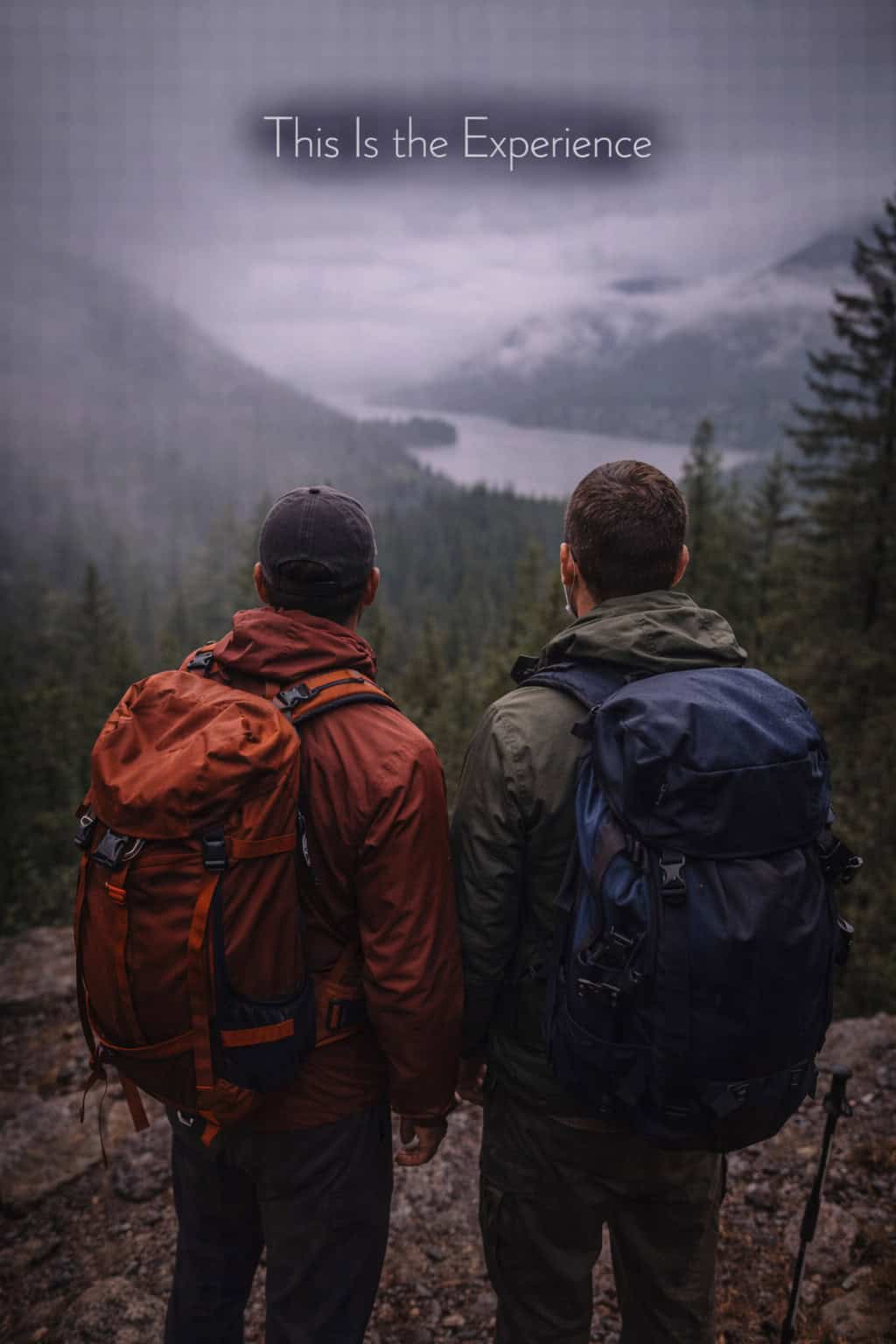 This Is the Experience