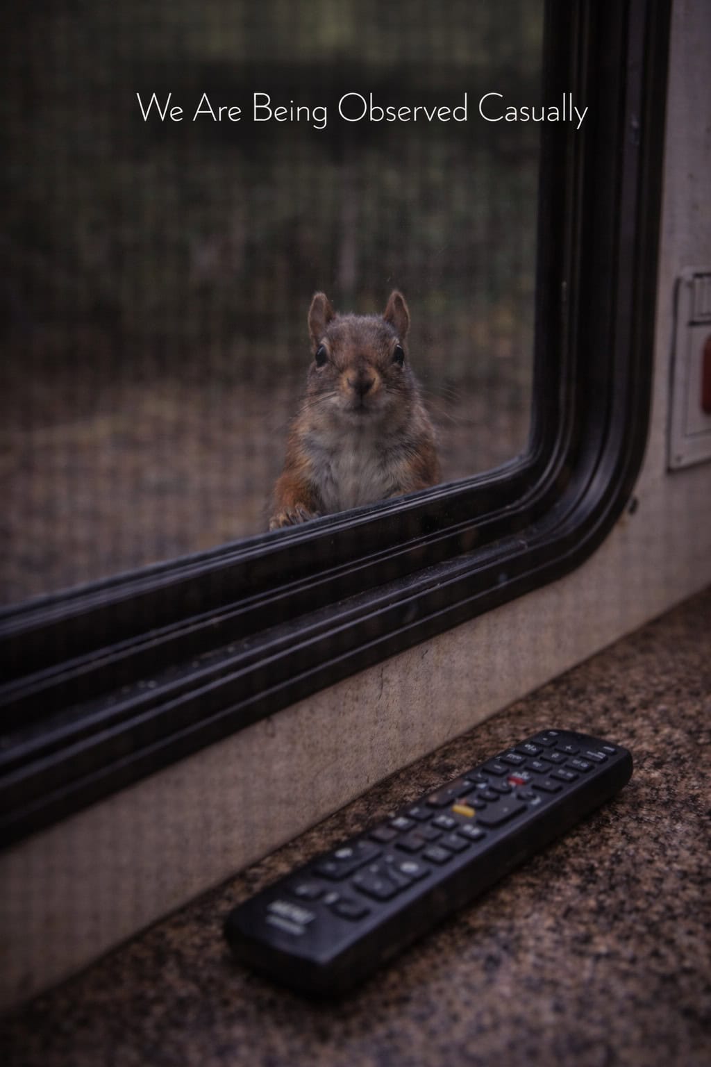 We Are Being Observed Casually