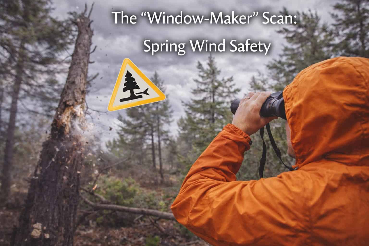 The "Window-Maker" Scan: Spring Wind Safety