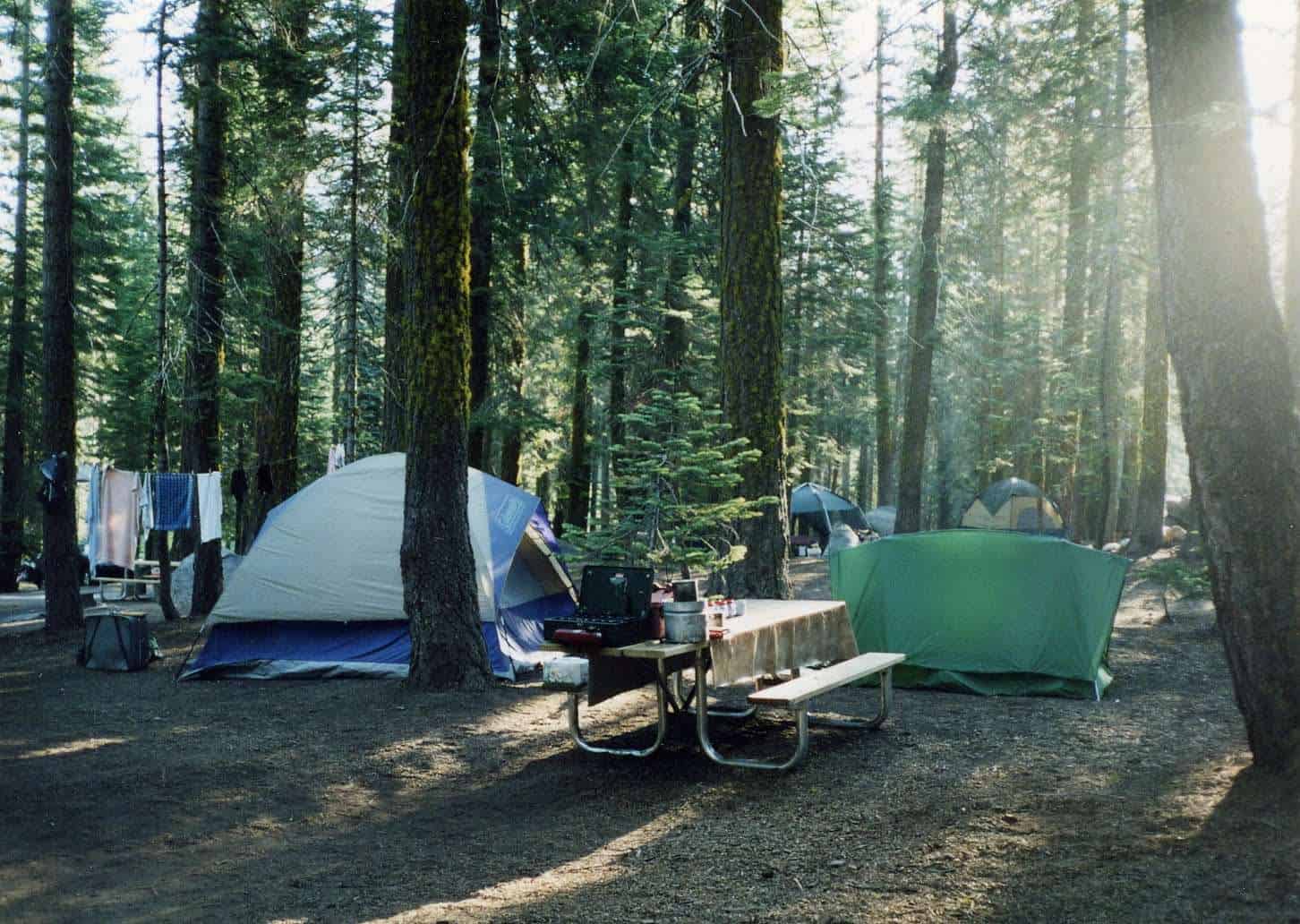 Best Camping Options in Yosemite National Park