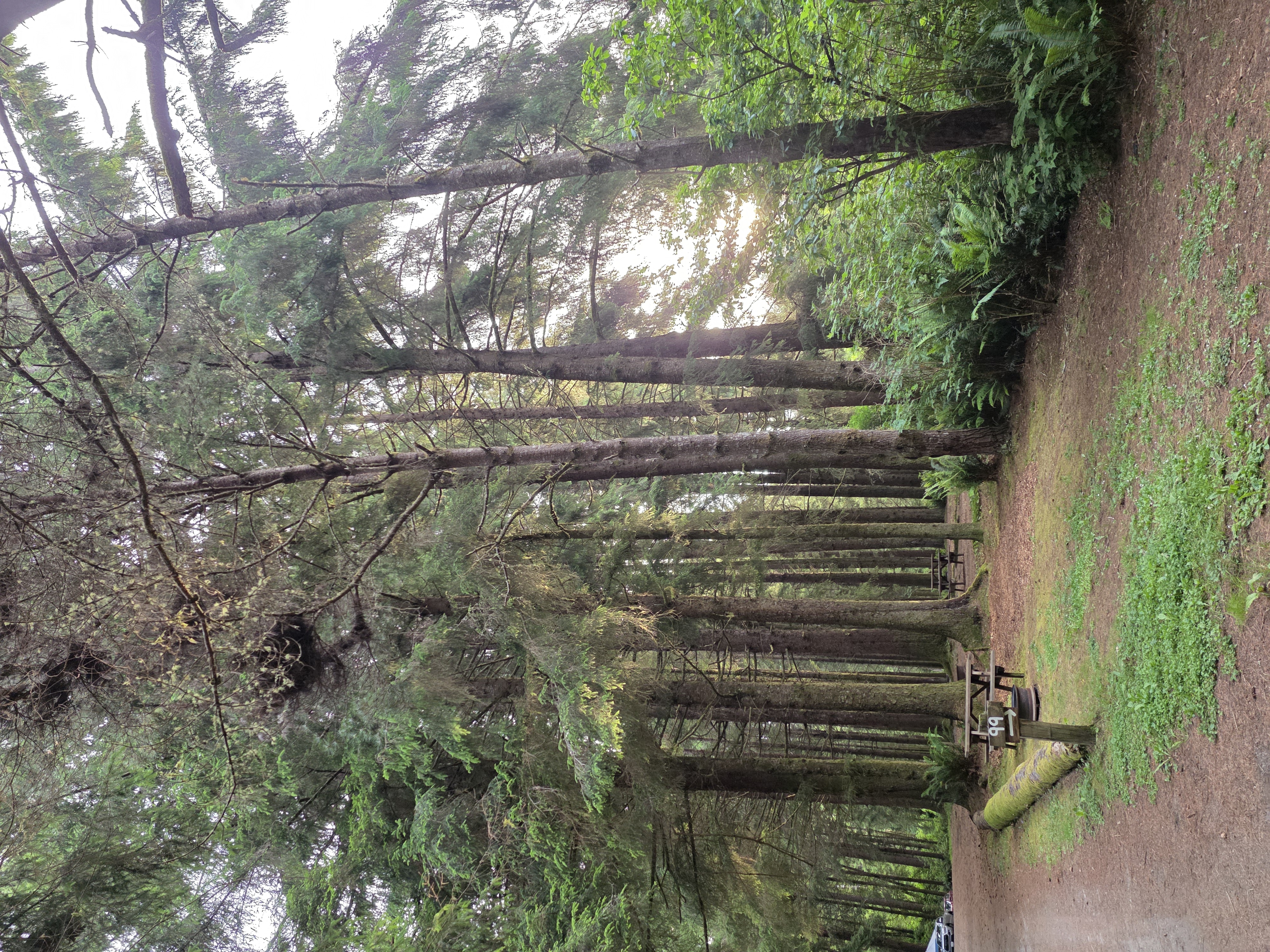 Elk Country RV Resort and Campground