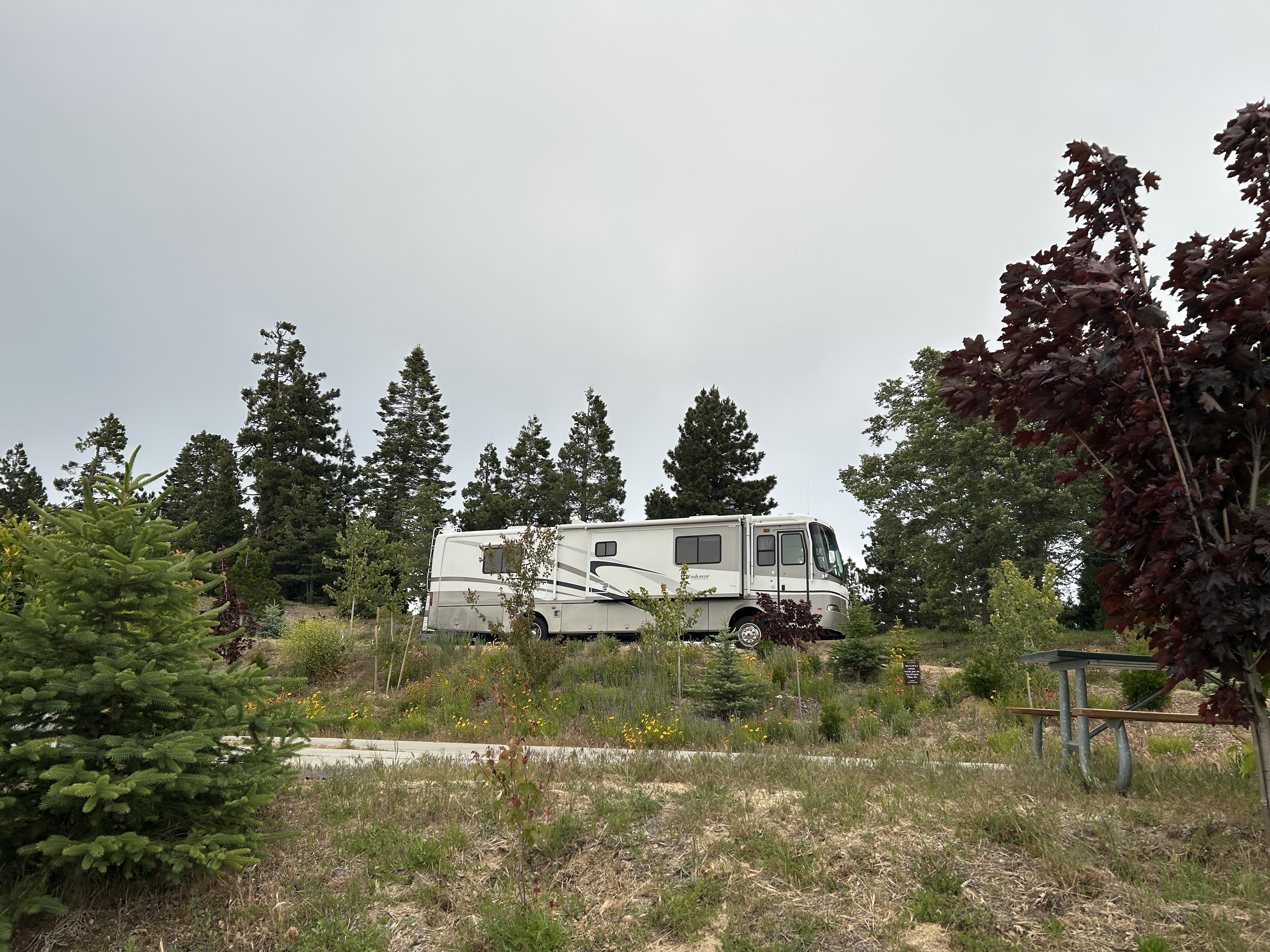 SkyPark at Santa’s Village RV Sites