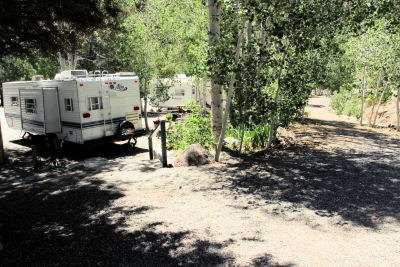 Willow Springs Motel RV Park