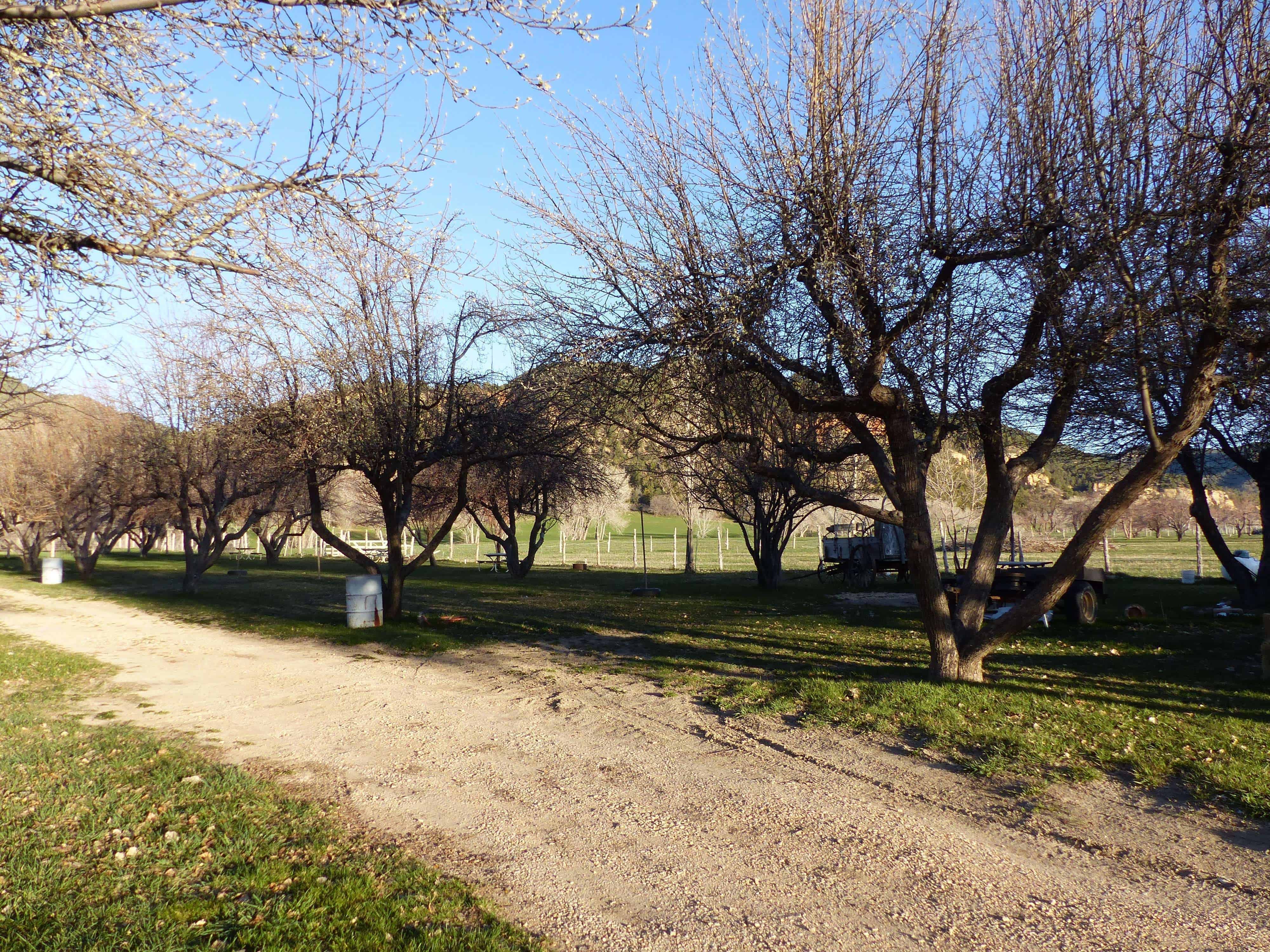 Bauer's Canyon Ranch RV Park