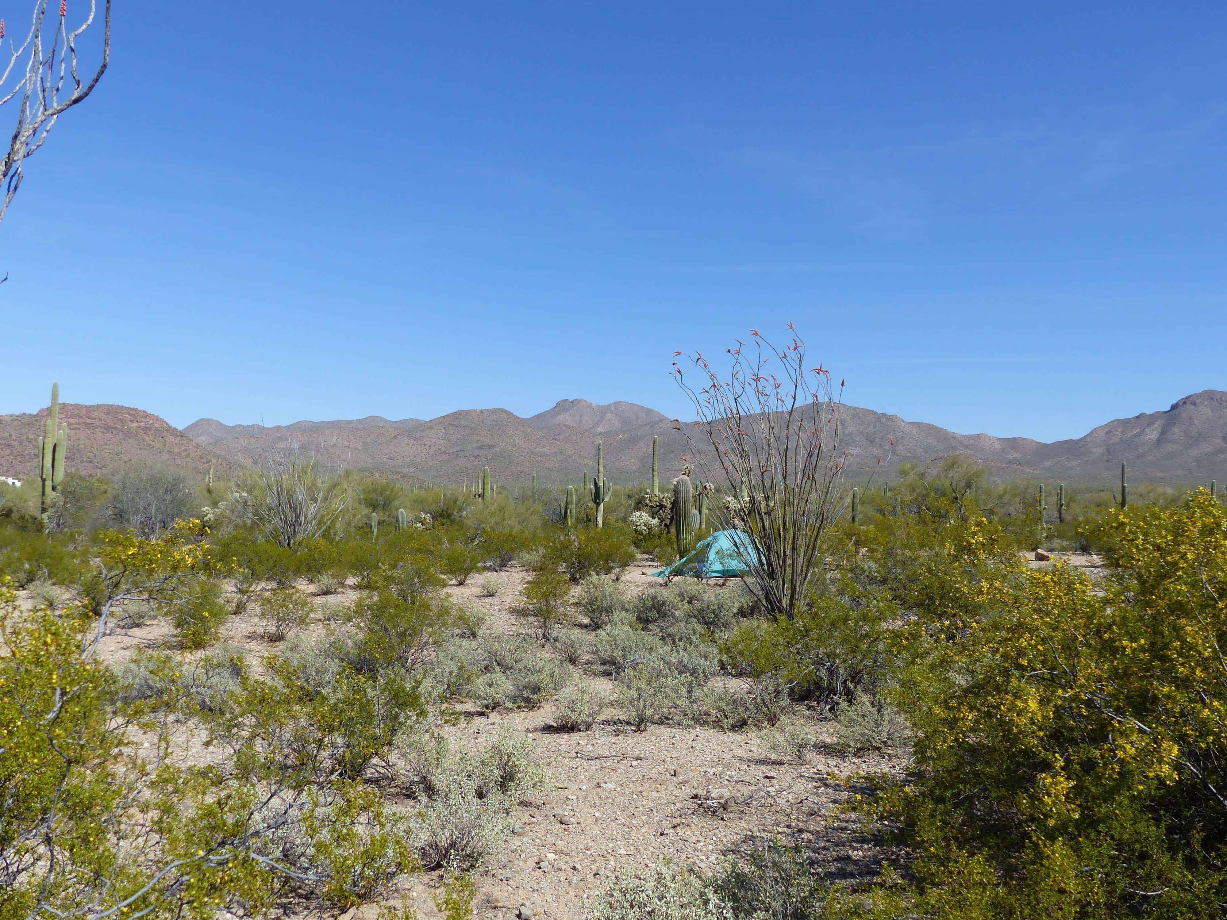 Gilbert Ray Campground