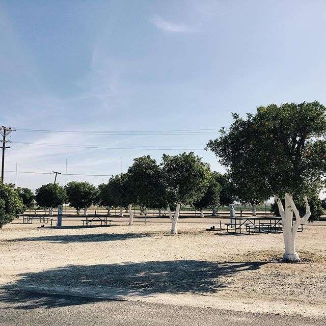 Orange Grove RV Park