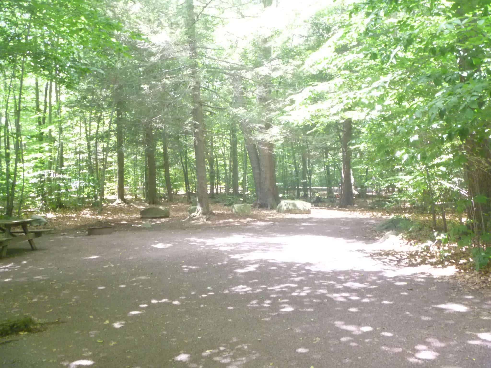 Ricketts Glen State Park