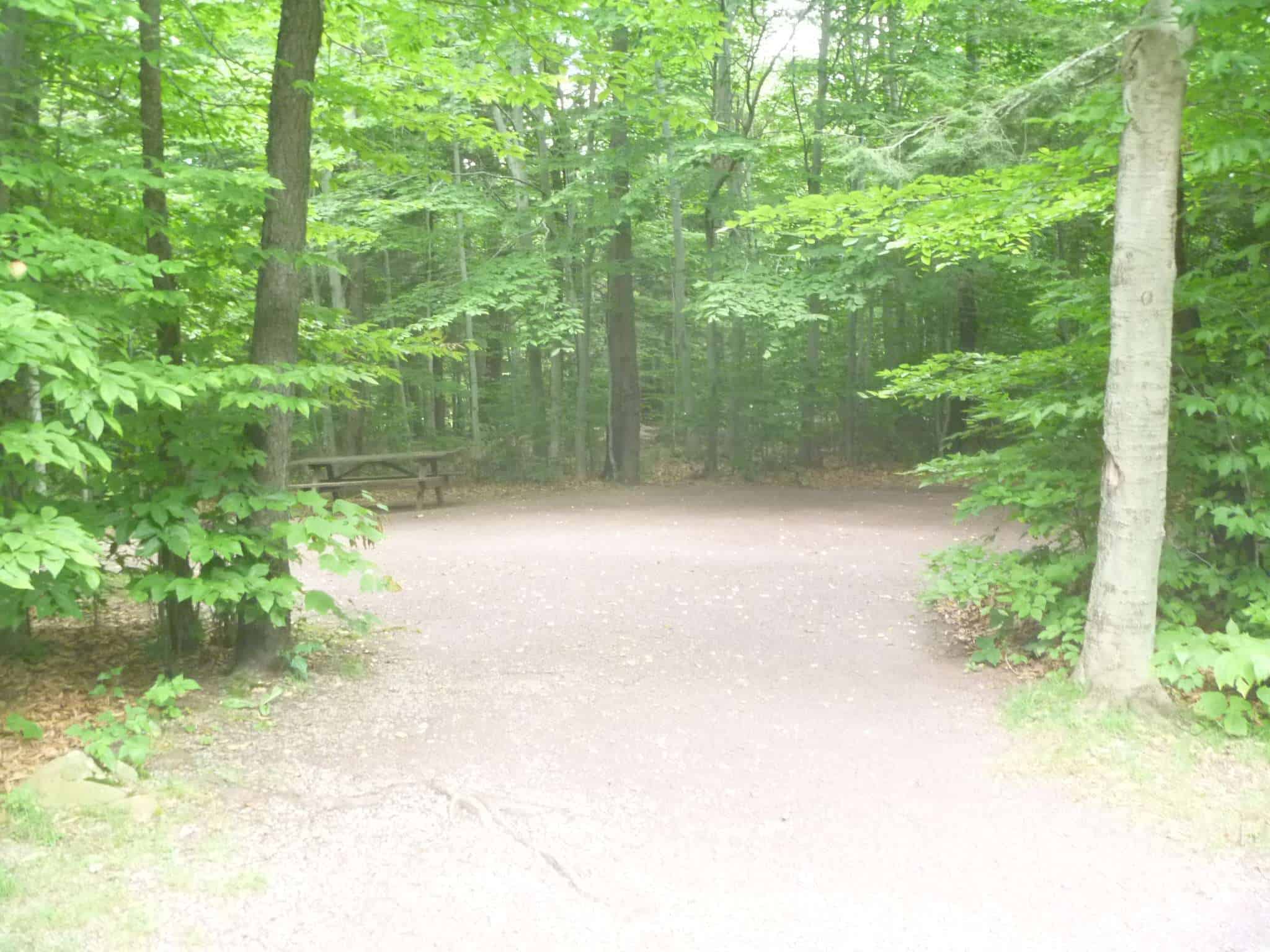 Ricketts Glen State Park