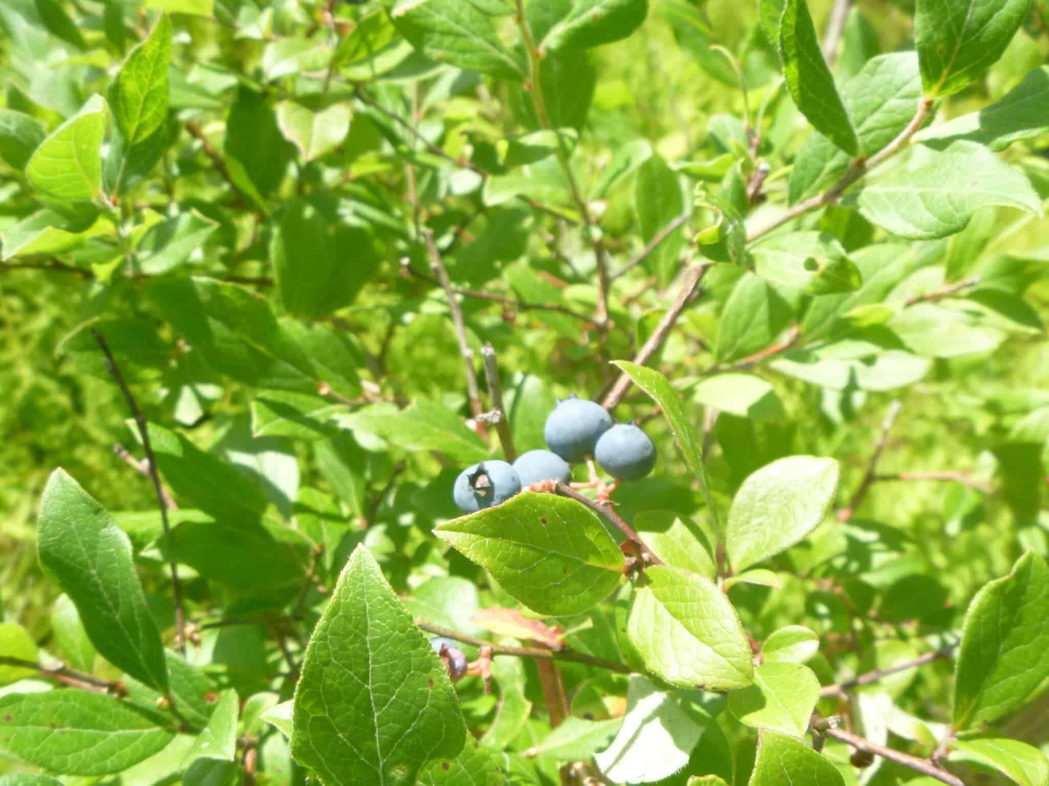 Worlds End State Park