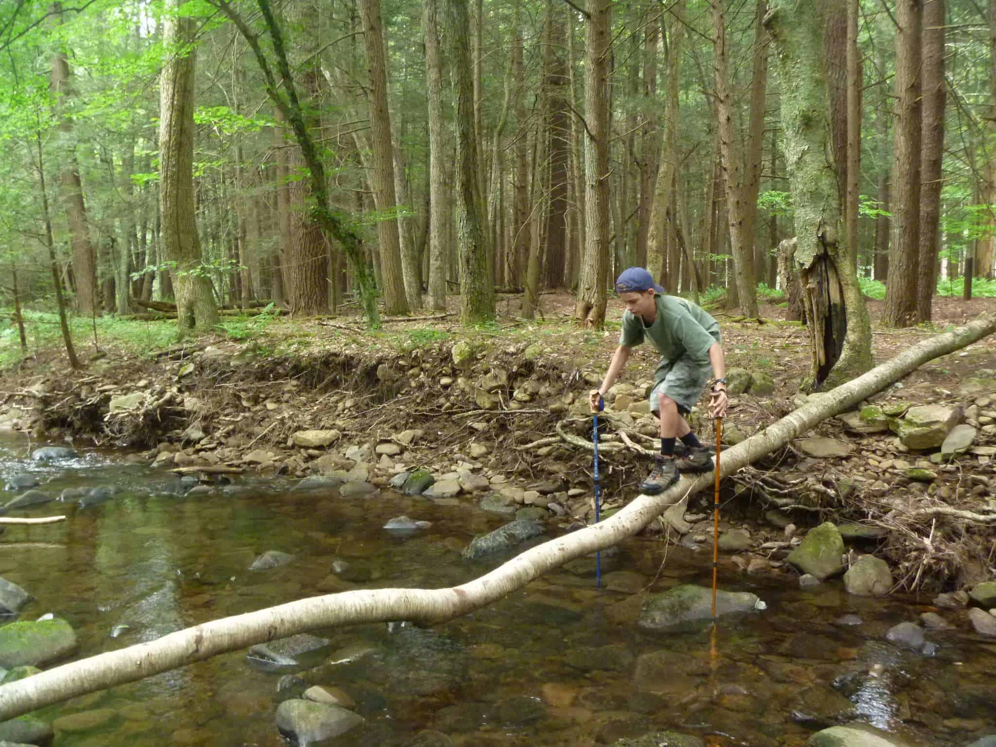 Hyner Run State Park