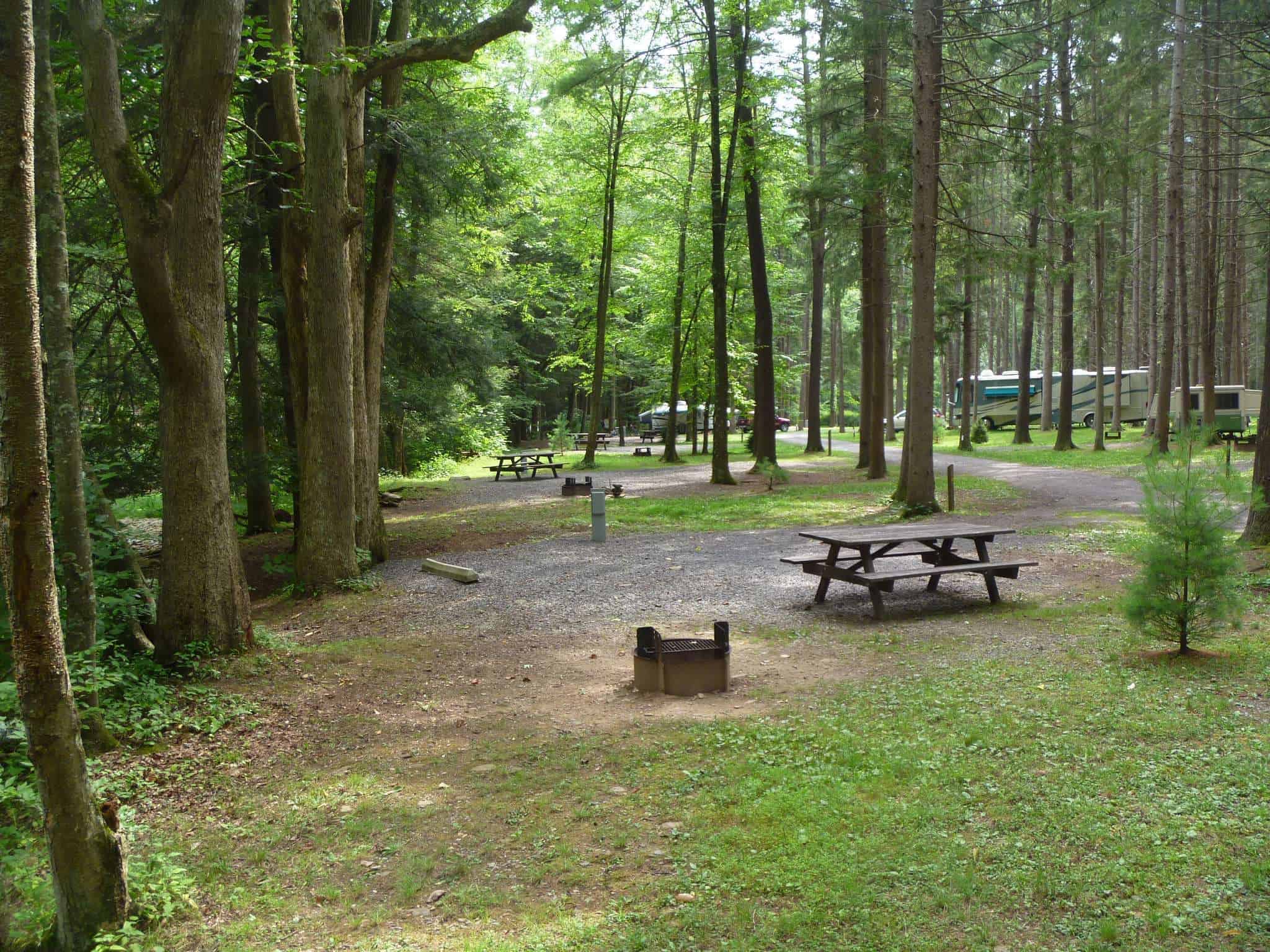 Hyner Run State Park