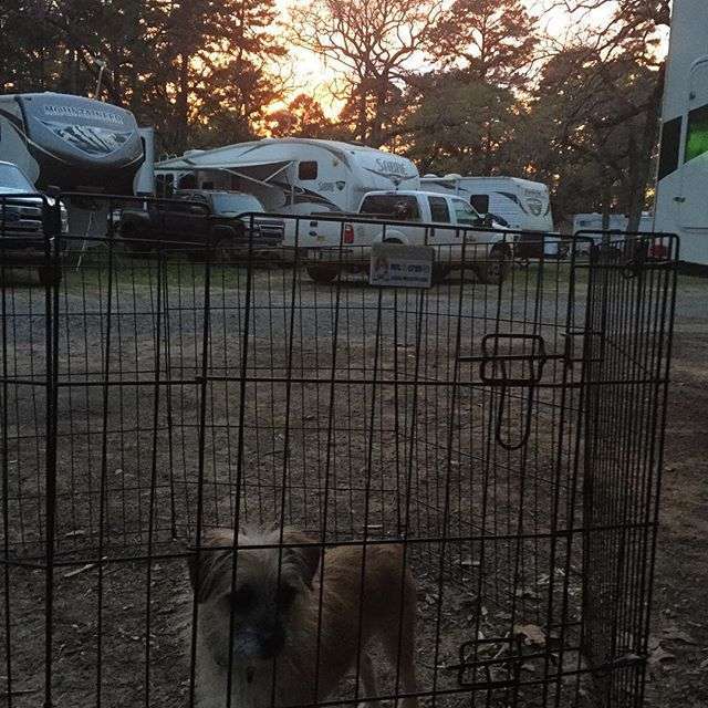 Crockett Family Resort