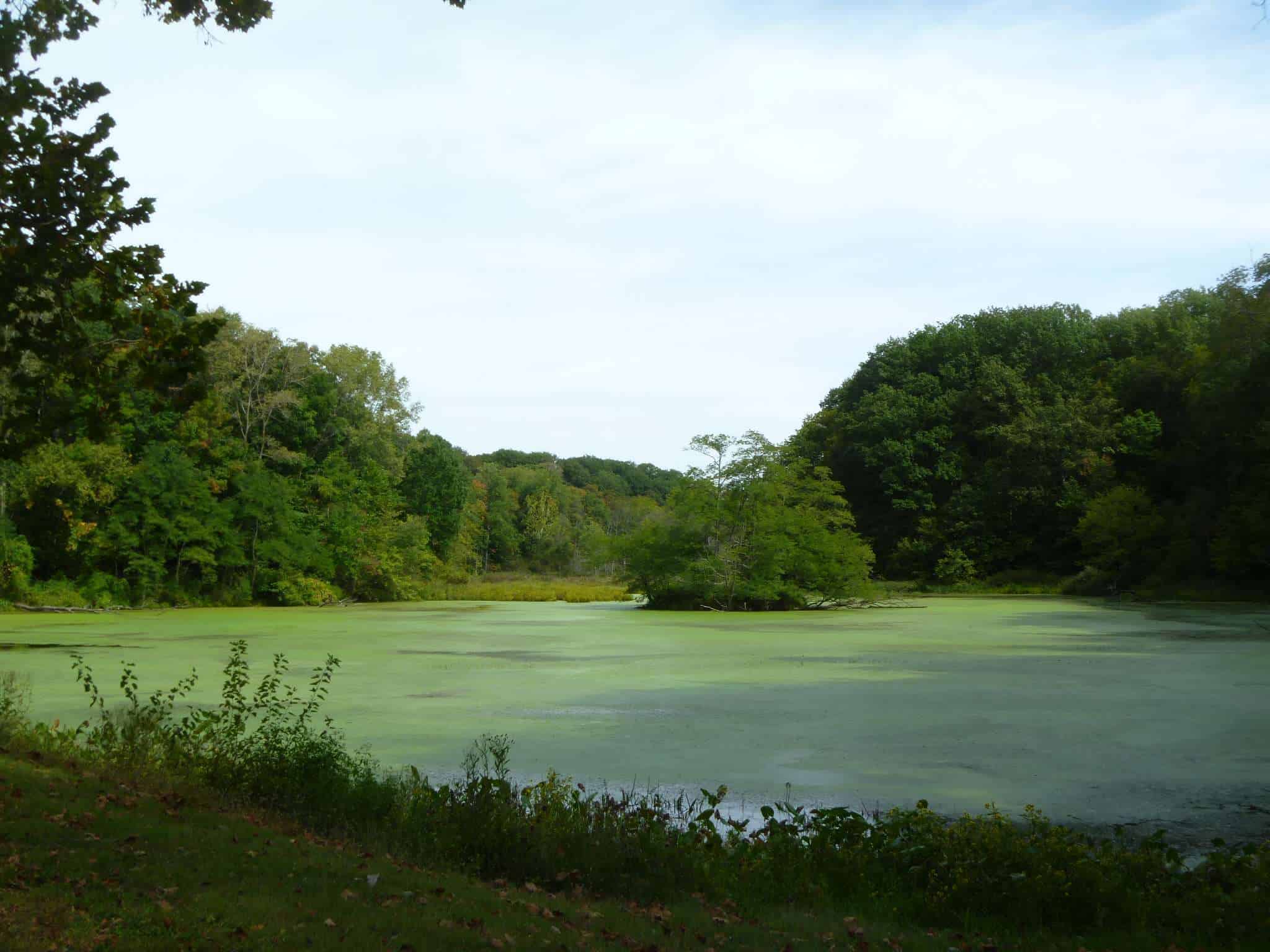Mt Gilead State Park