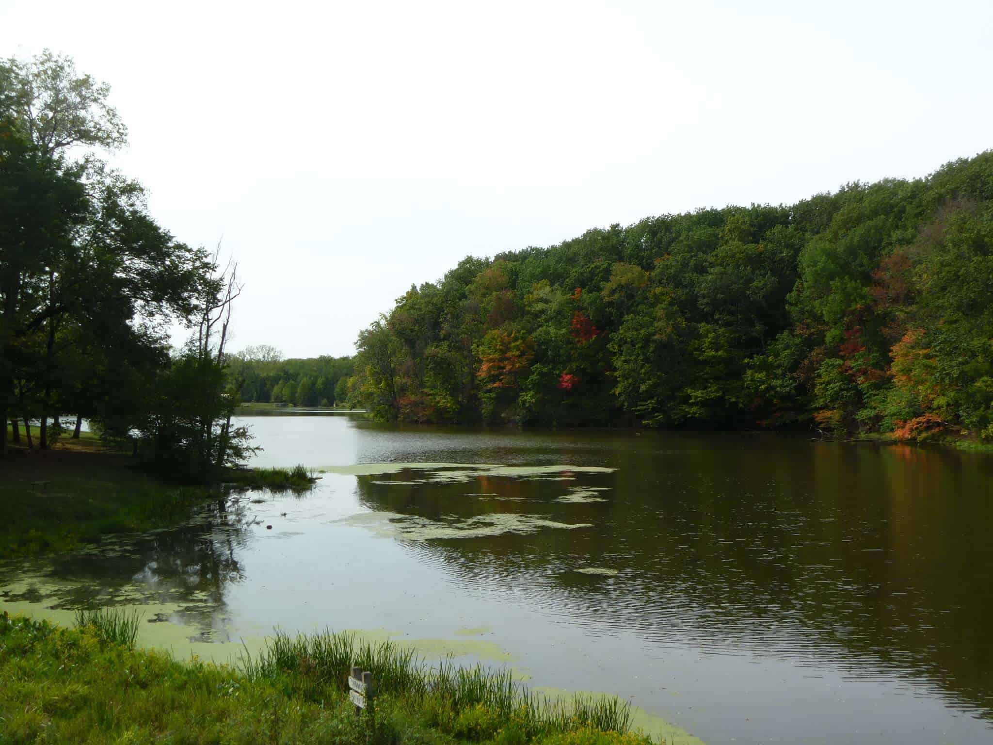 Mt Gilead State Park