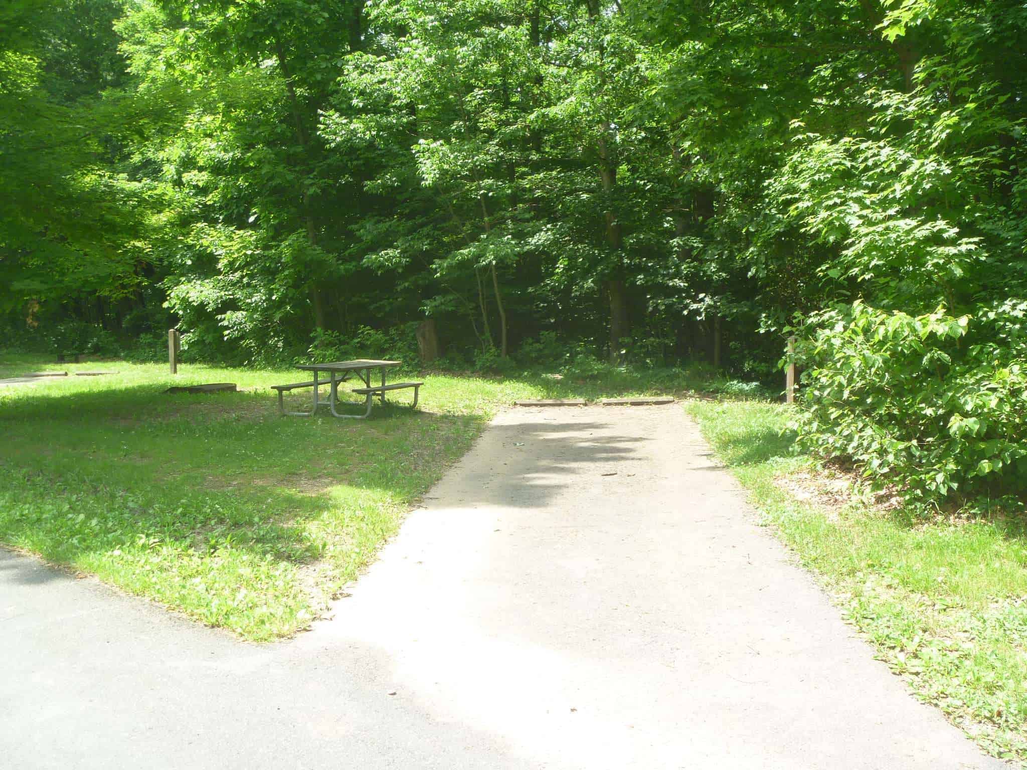 Laurel Hill State Park