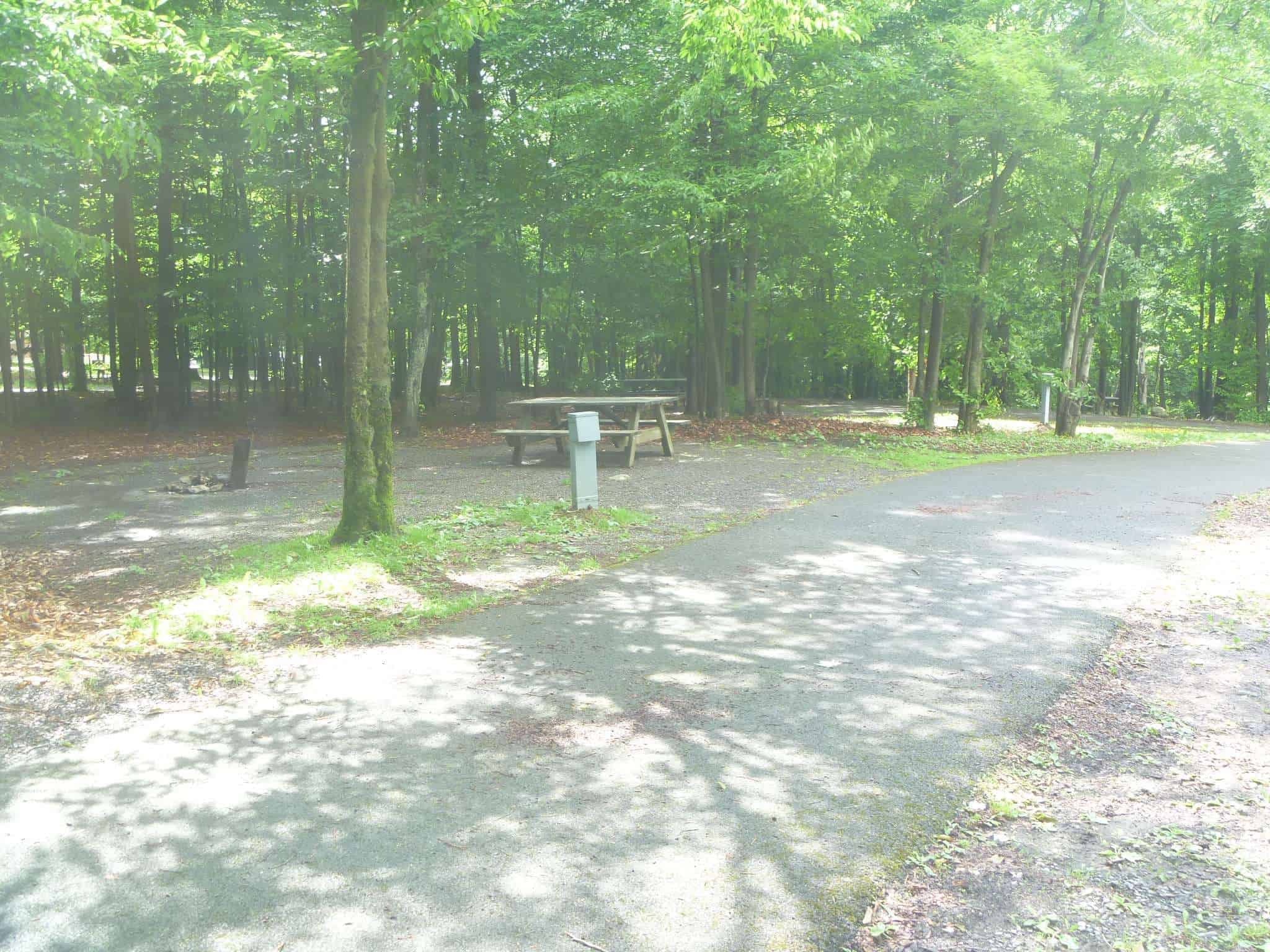 Blackwater Falls State Park