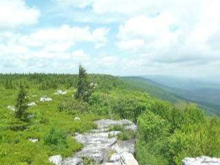 Blackwater Falls State Park