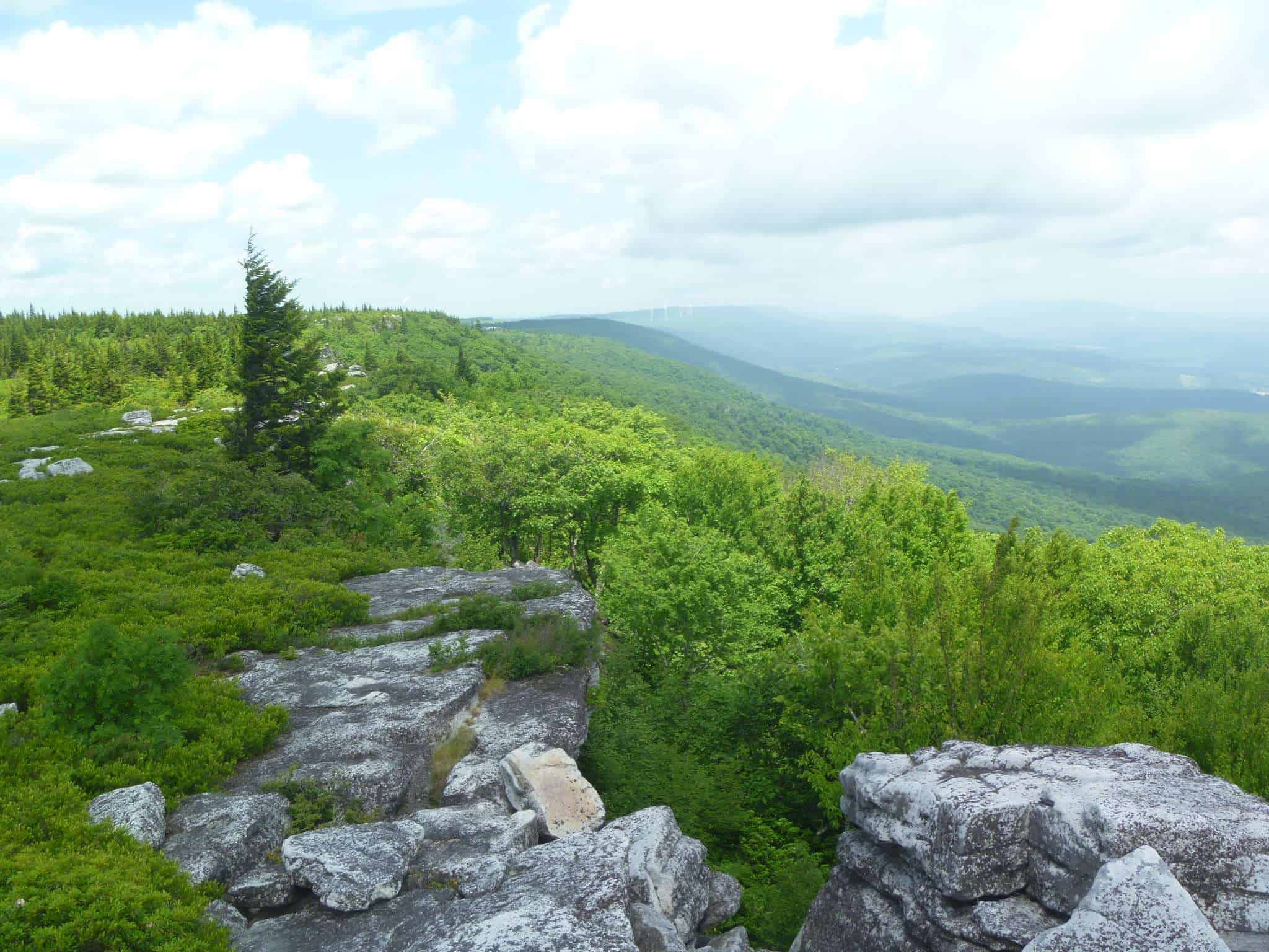 Canaan Valley Resort State Park