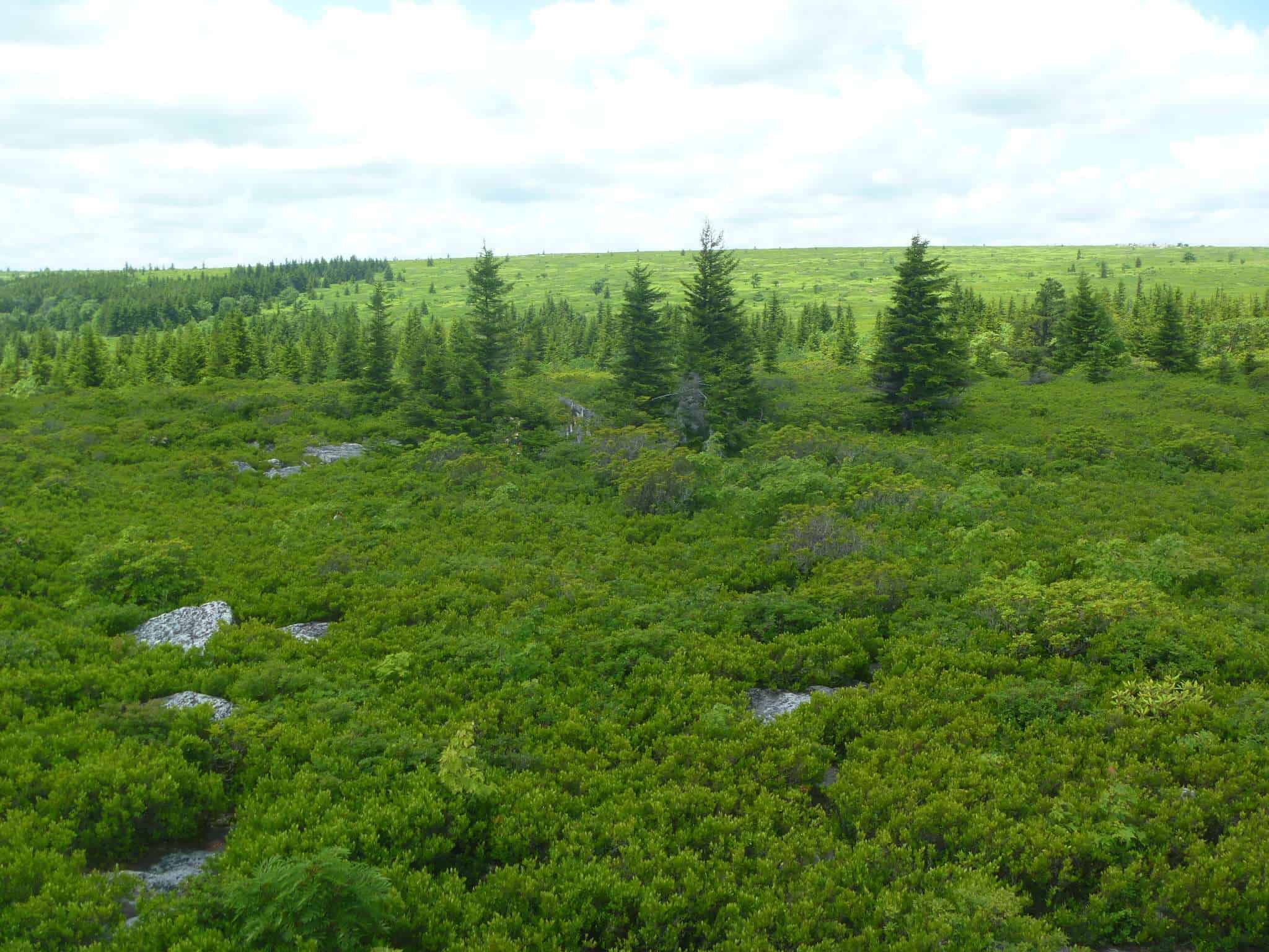 Canaan Valley Resort State Park