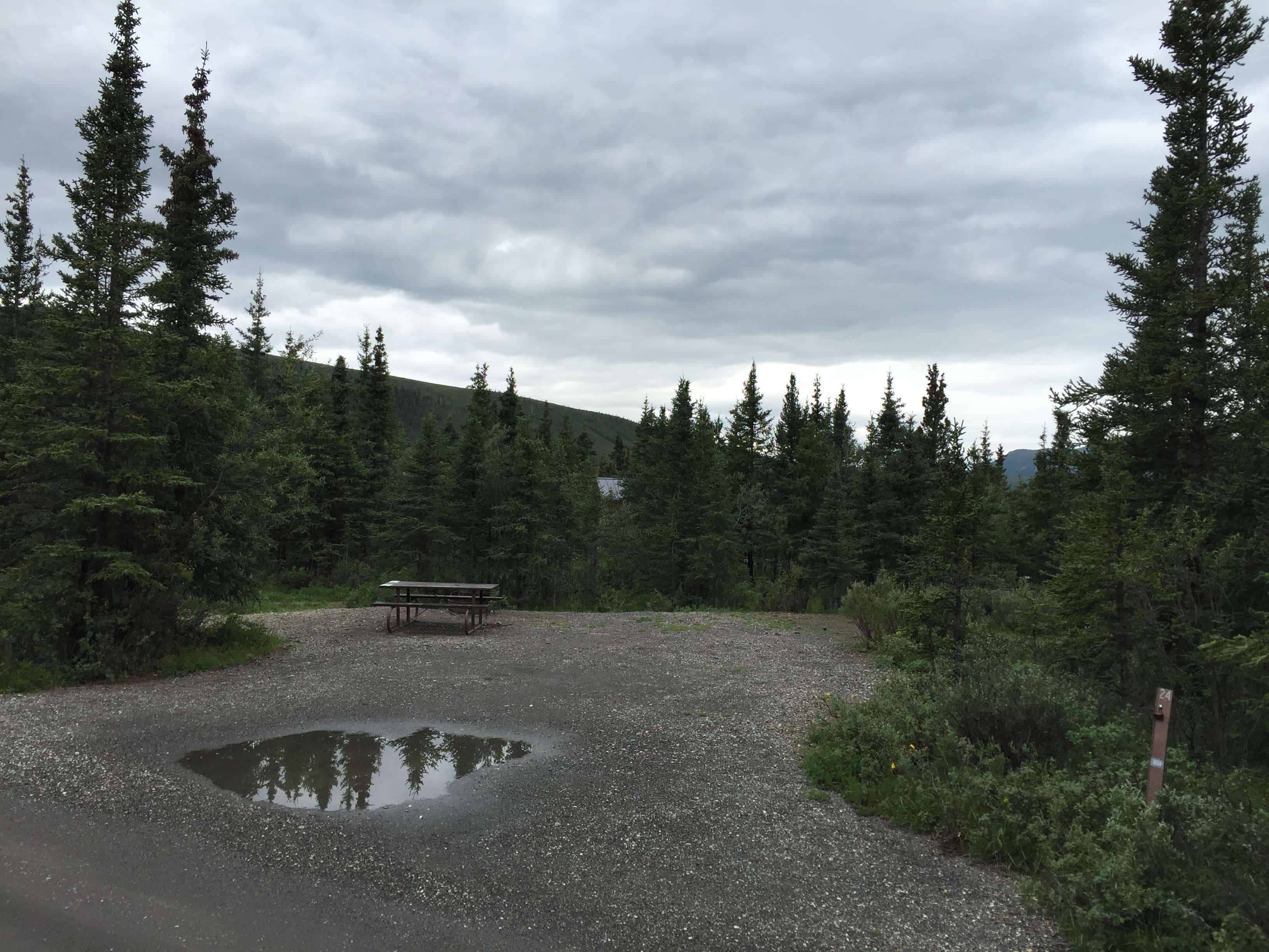 Teklanika River Campground