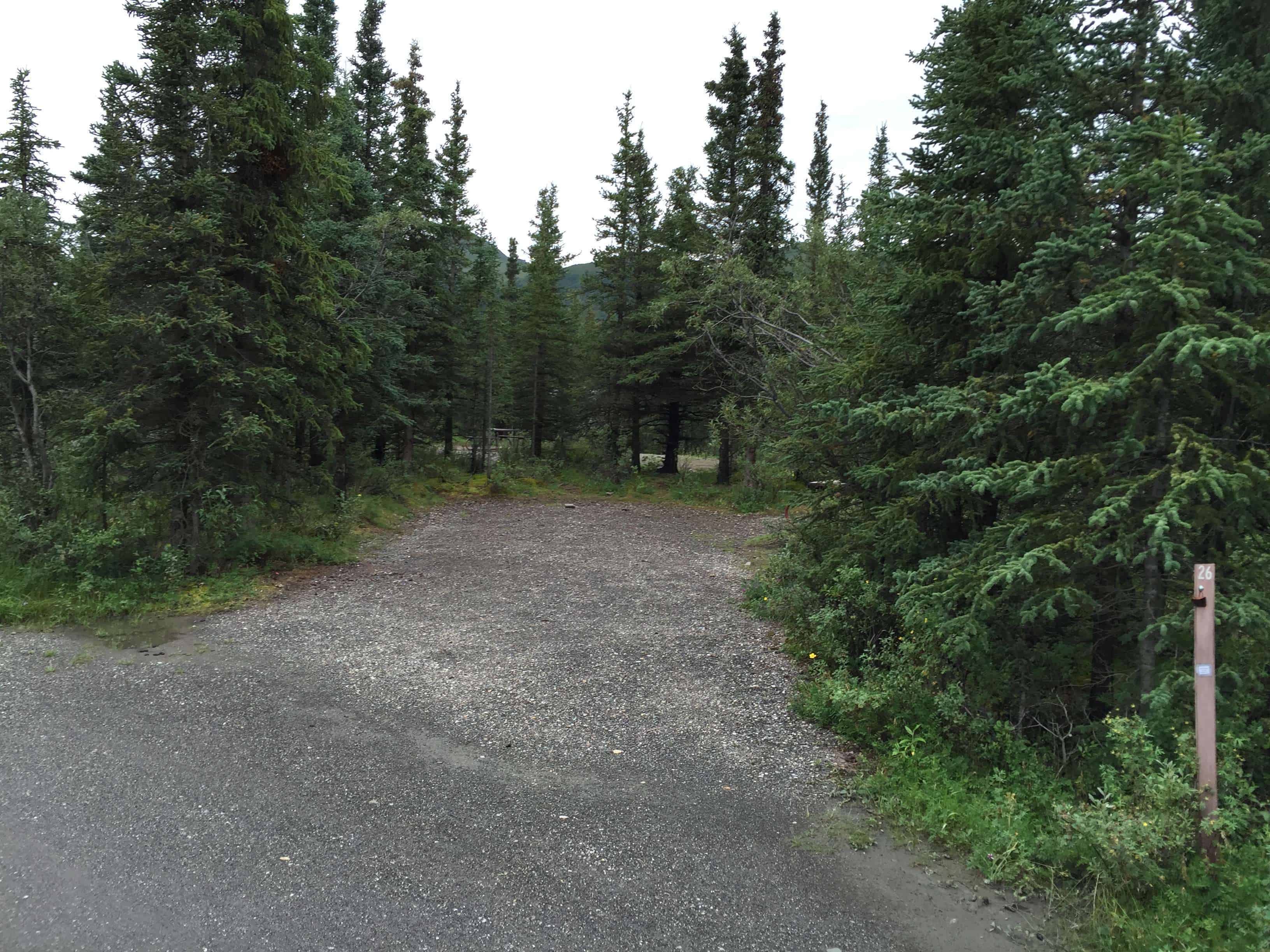 Teklanika River Campground