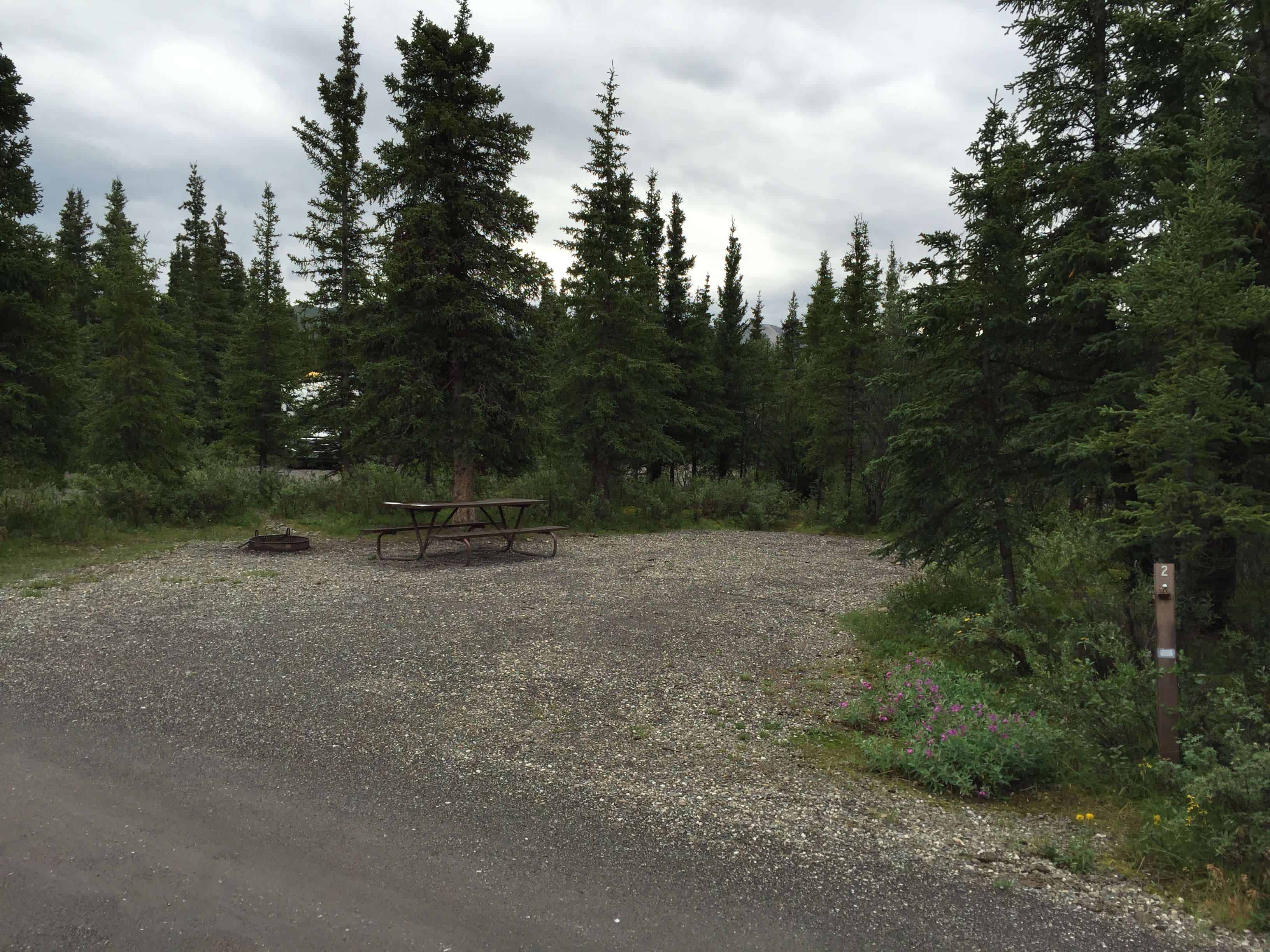 Teklanika River Campground