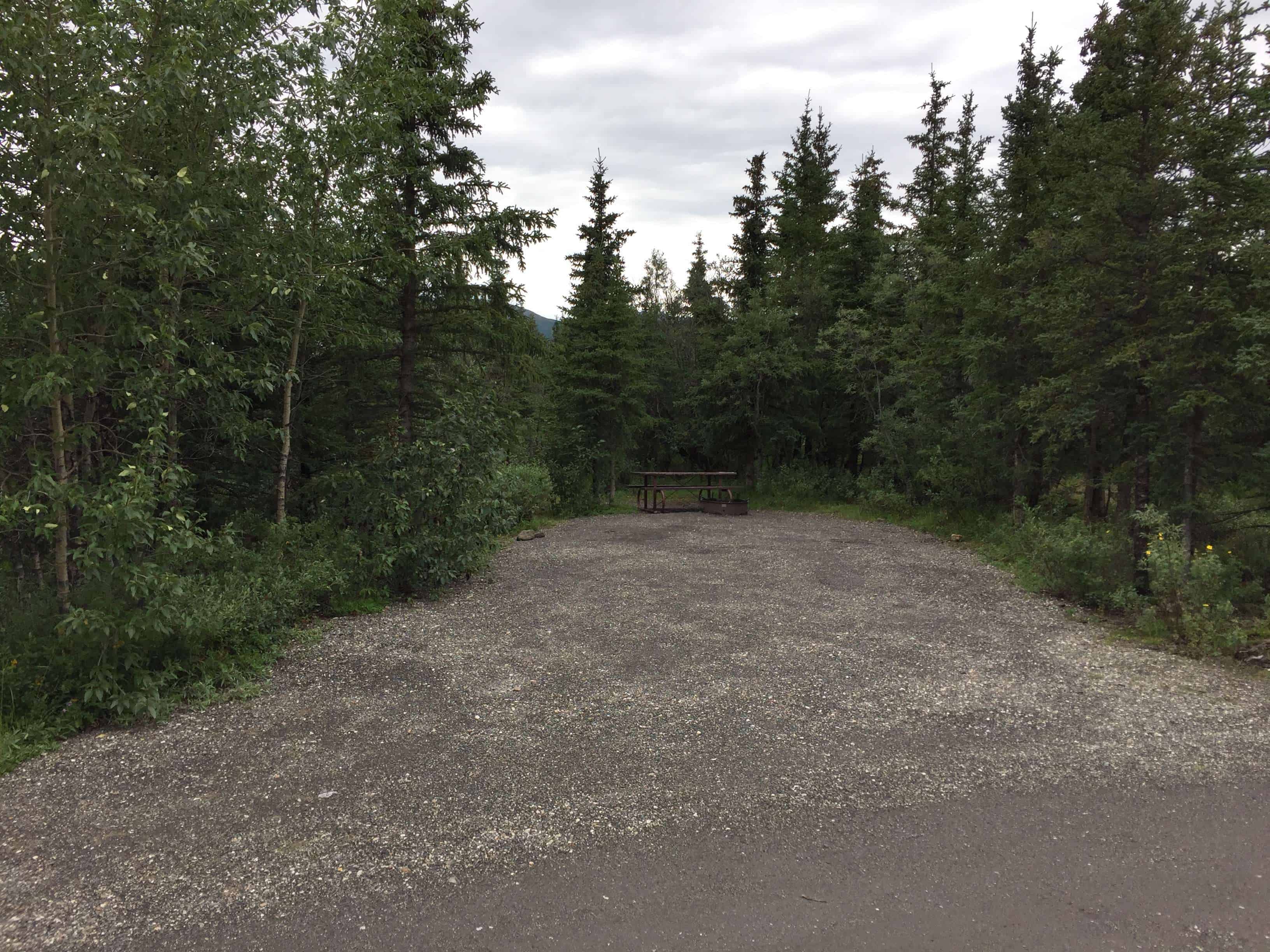 Teklanika River Campground