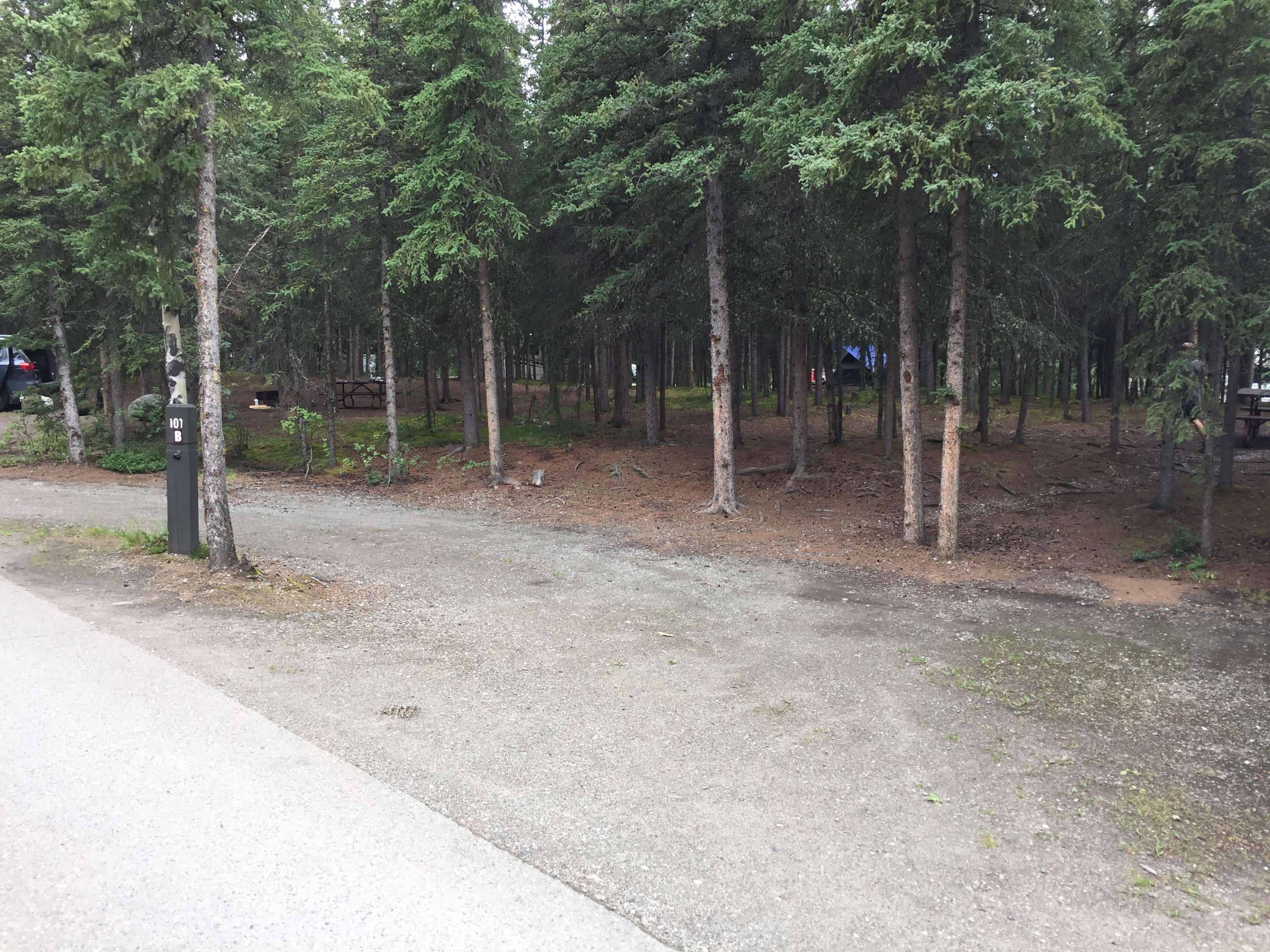 Riley Creek Campground