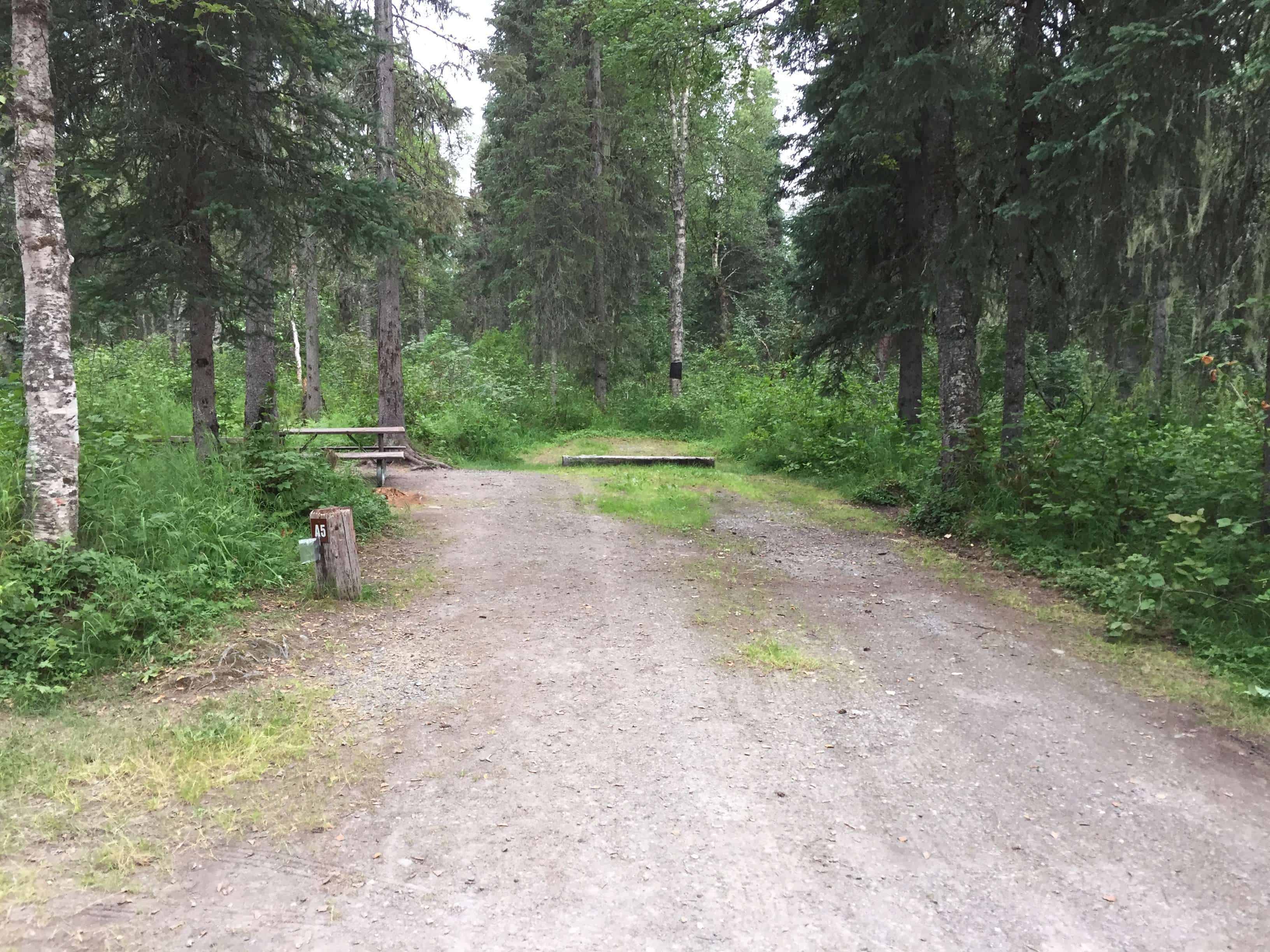 Byers Lake Campground