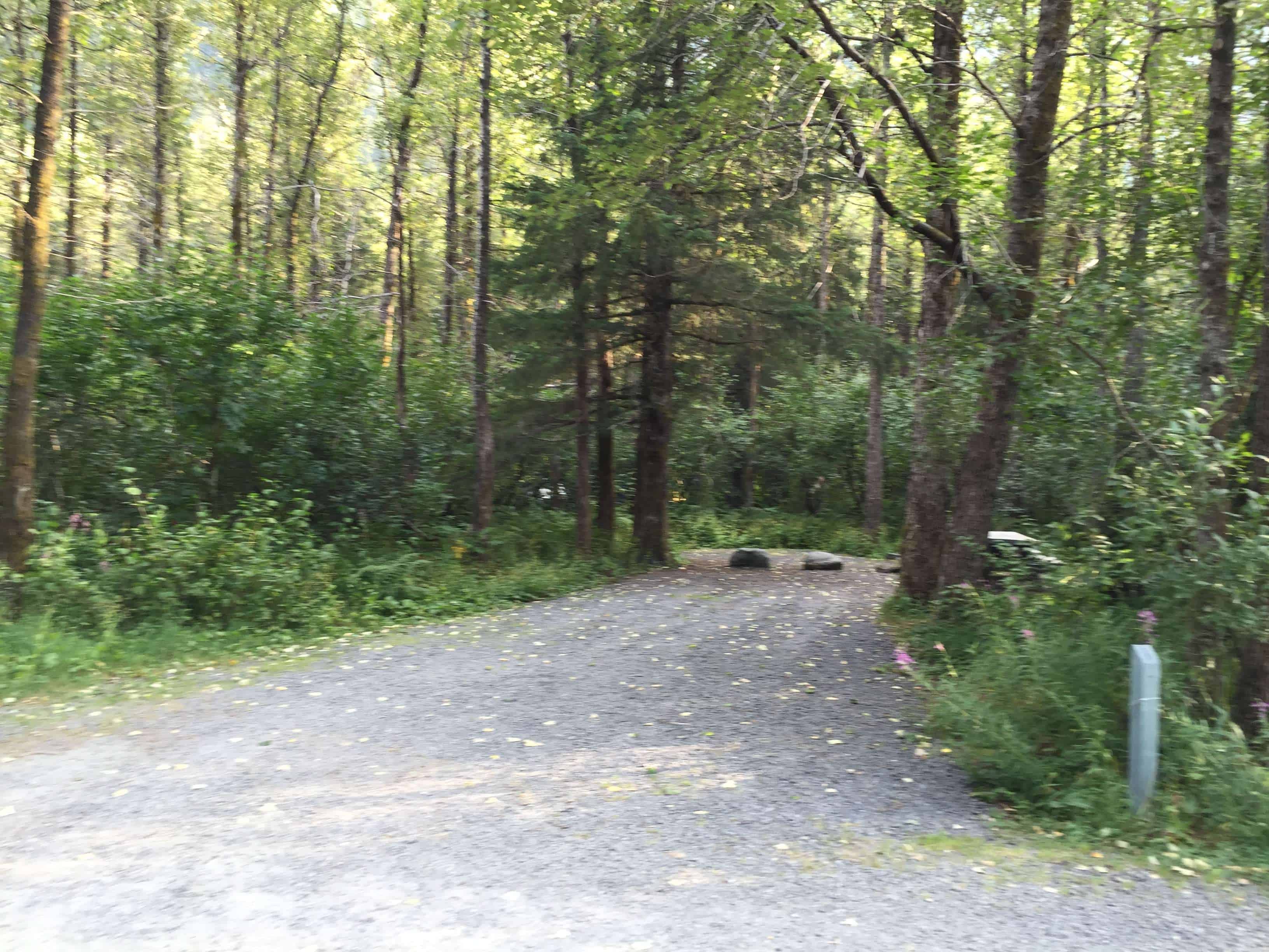 Black Bear Campground