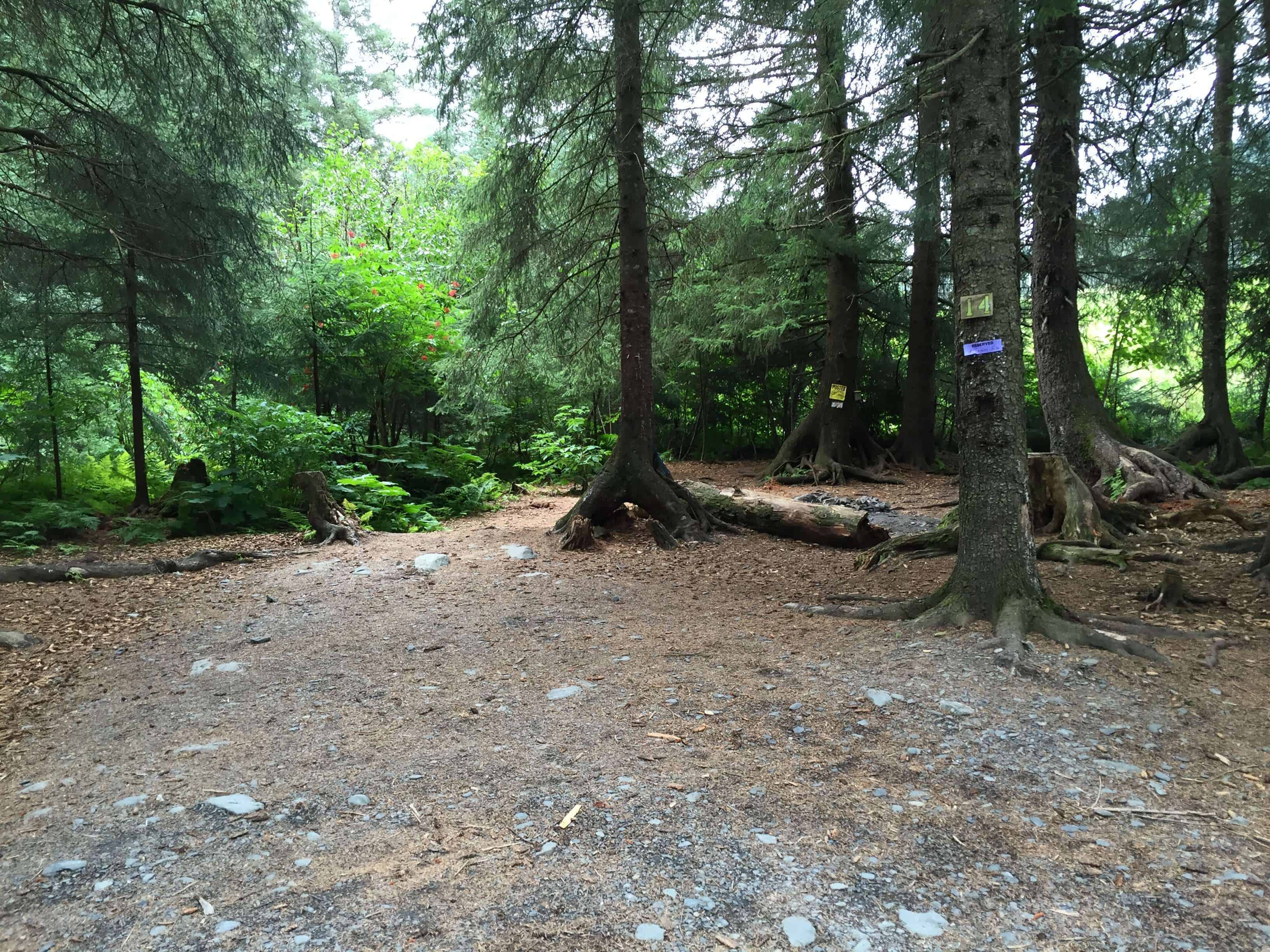 The Silver Derby Campground & RV Park