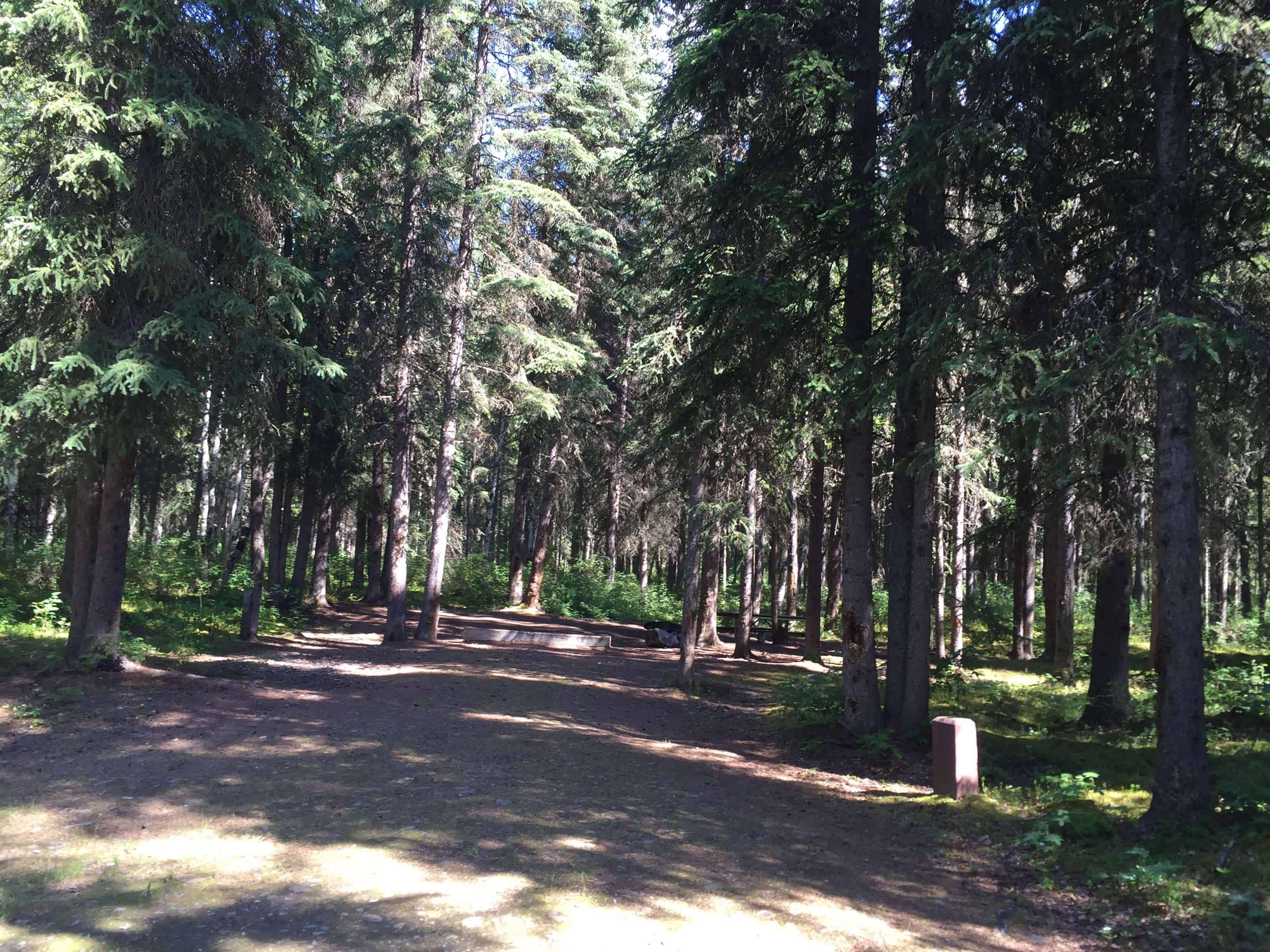 Upper Chatanika River State Recreation Site