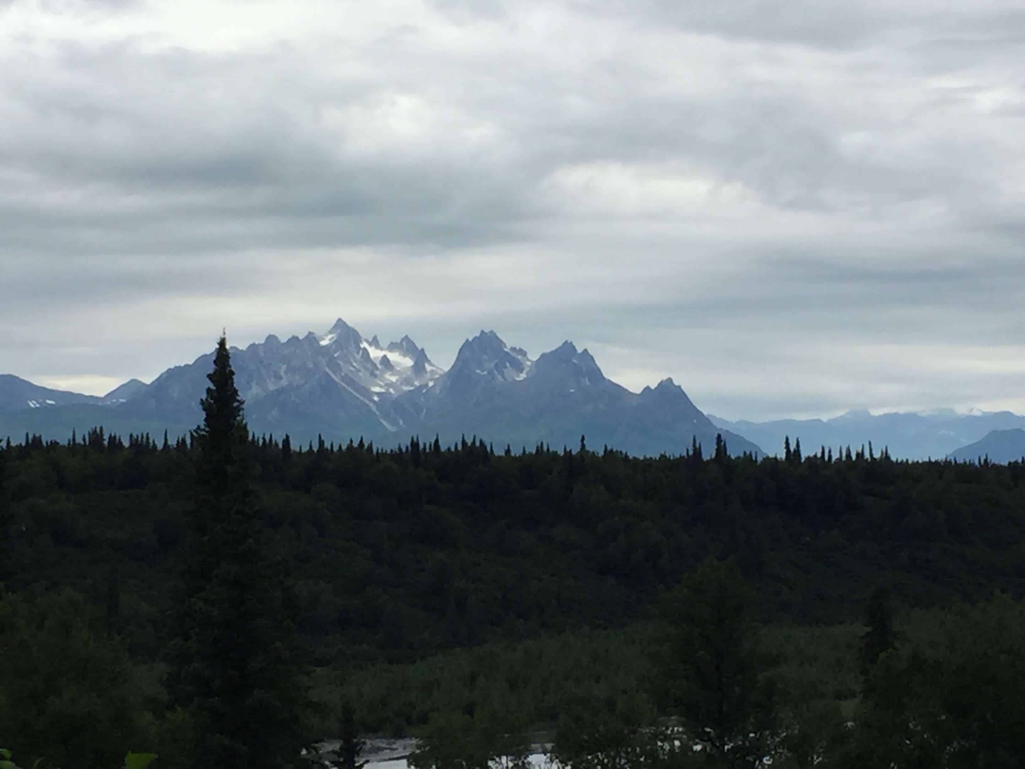Denali View South