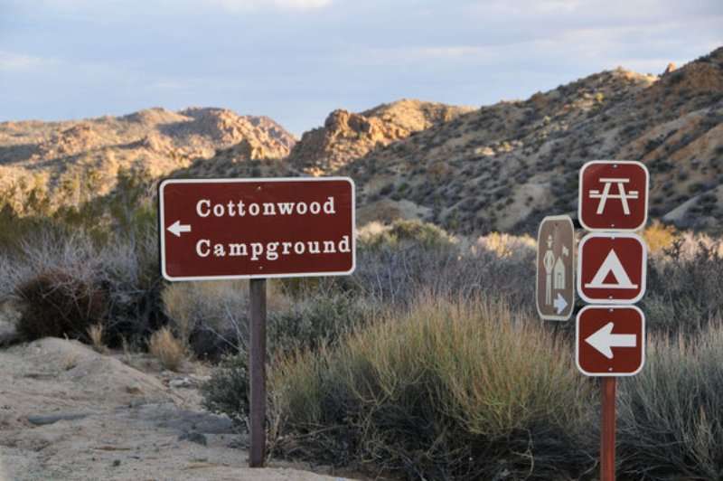 Cottonwood Campground (CA)