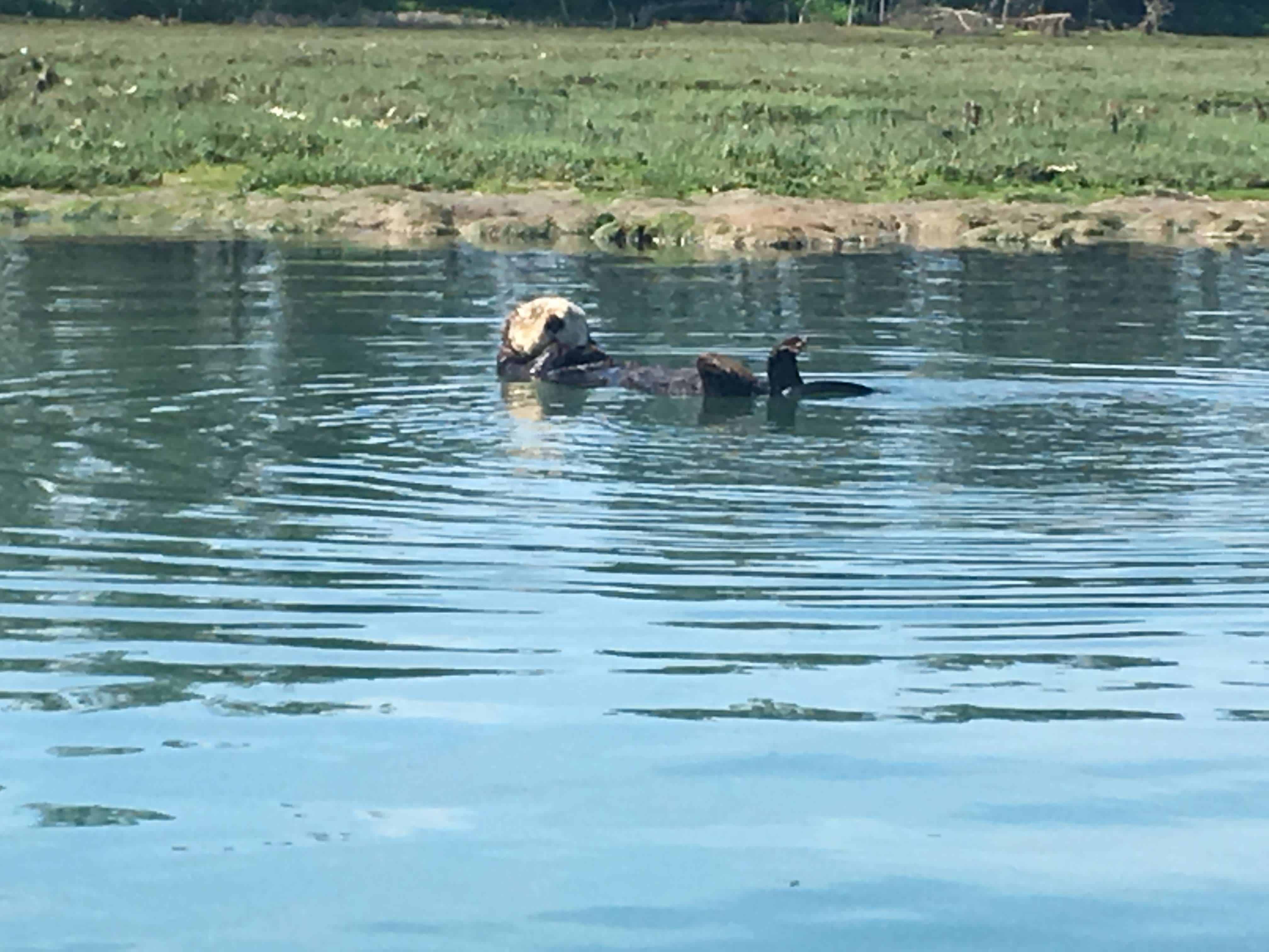 New Brighton State Beach