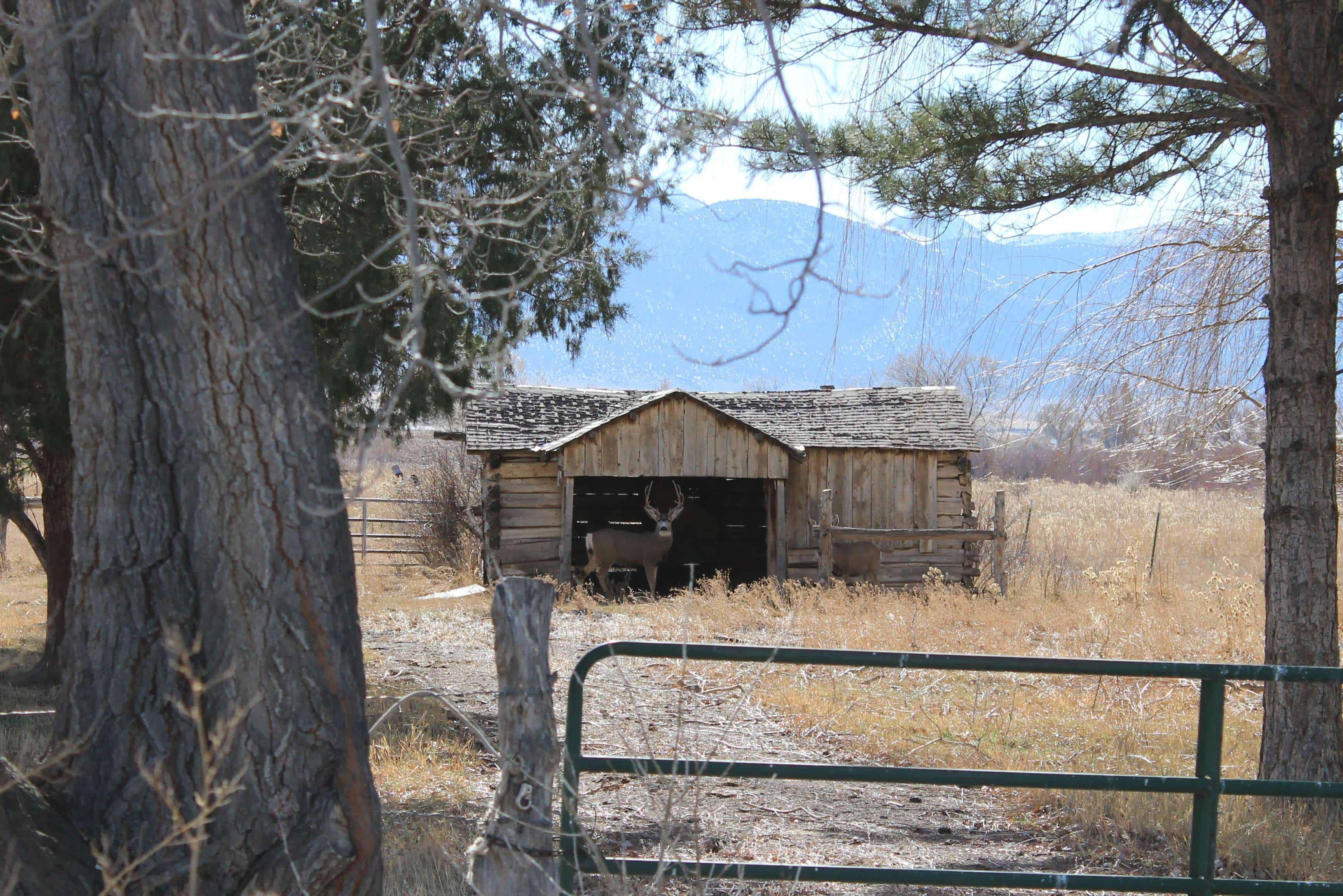 Circleville RV Park & Kountry Store