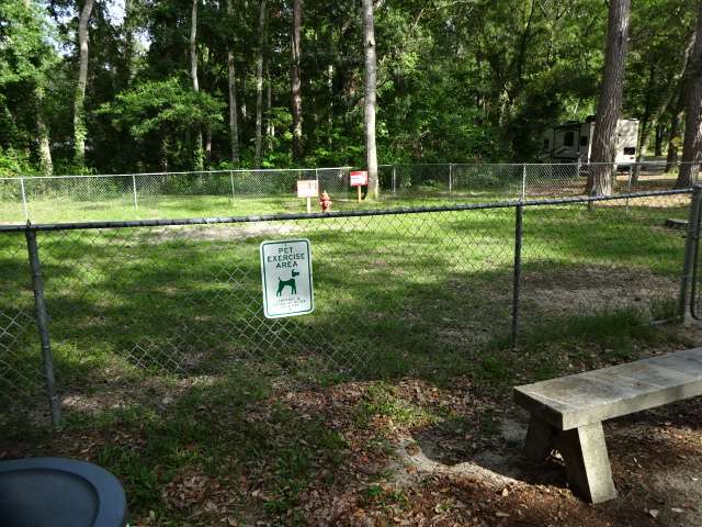 Spacious Skies Savannah Oaks RV Resort