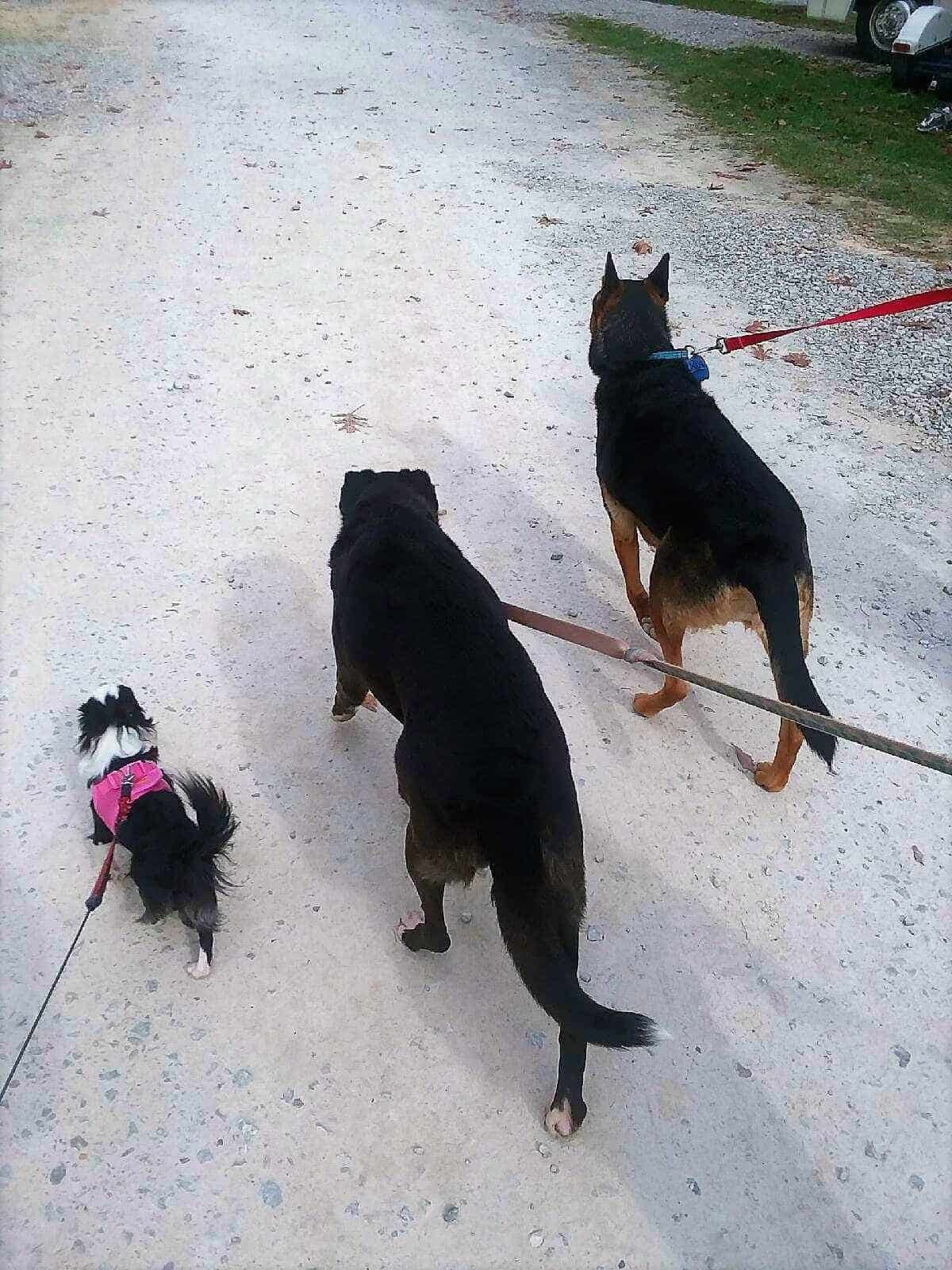 Brown County Nashville KOA