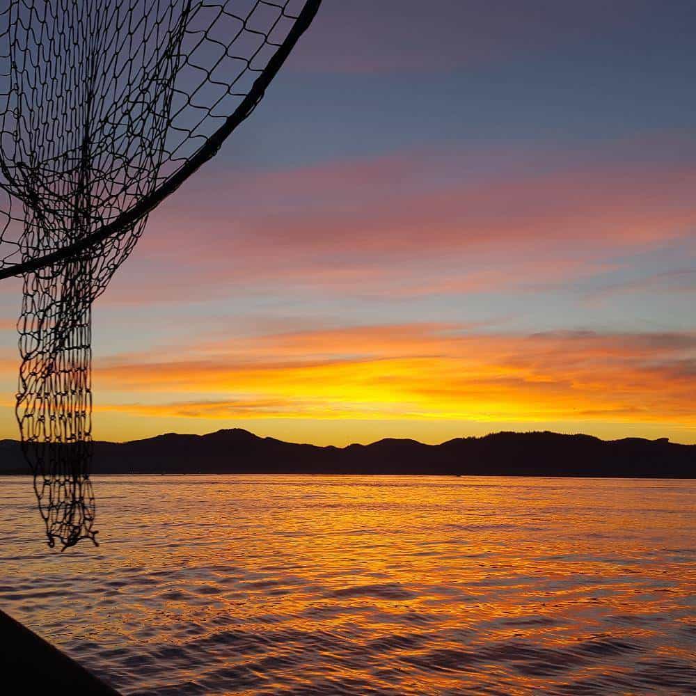 RV Park At The Bridge