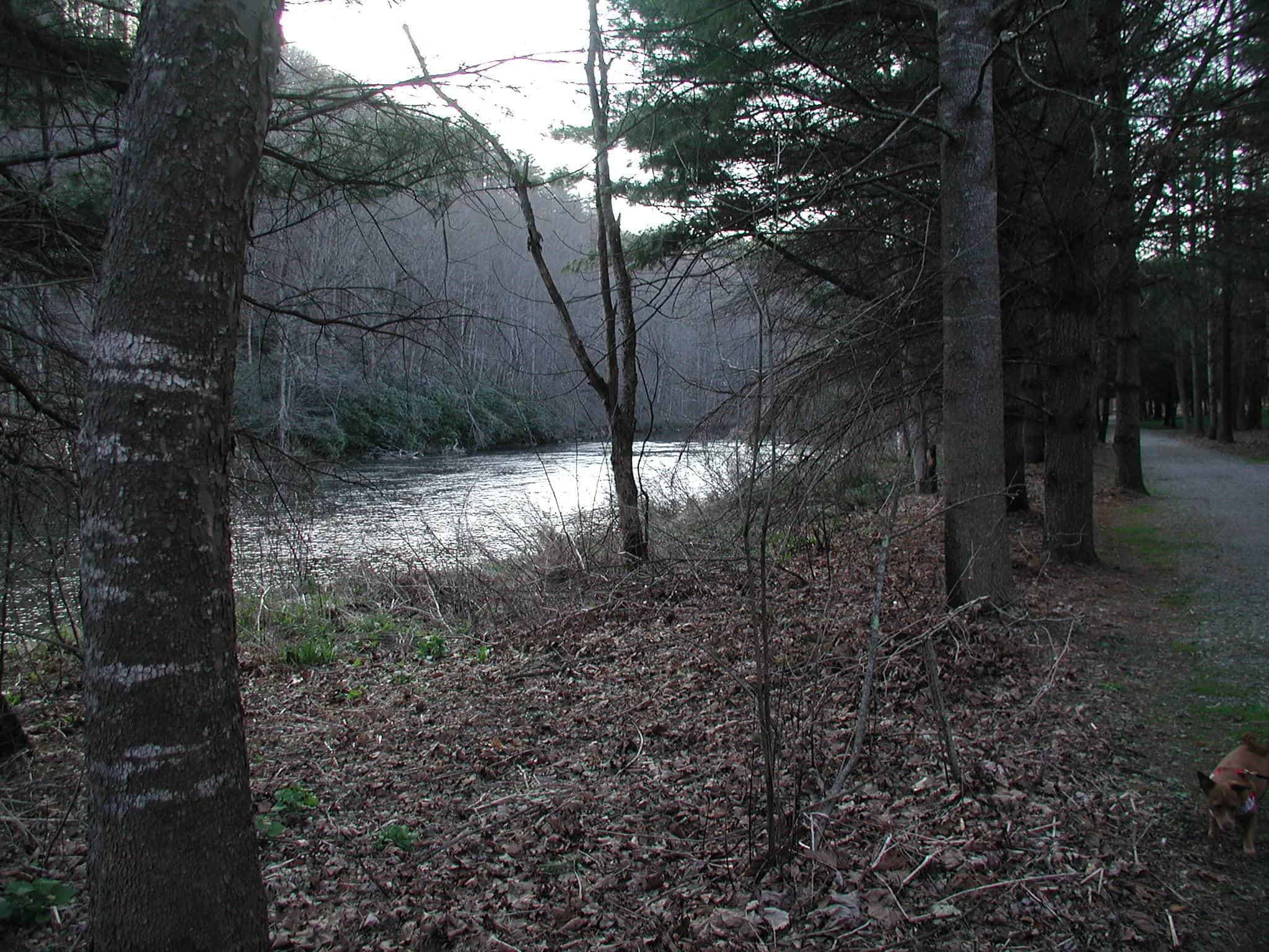 New River State Park