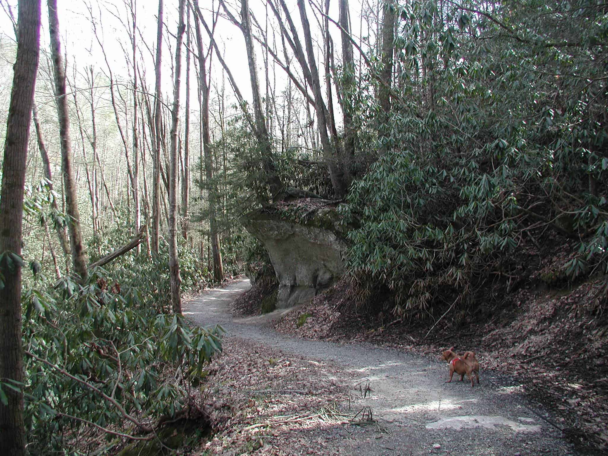 Stone Mountain State Park