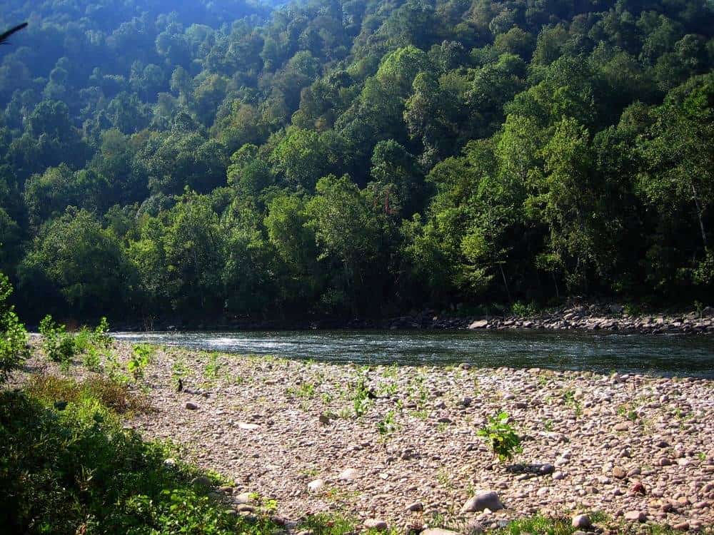 Army Camp Campground