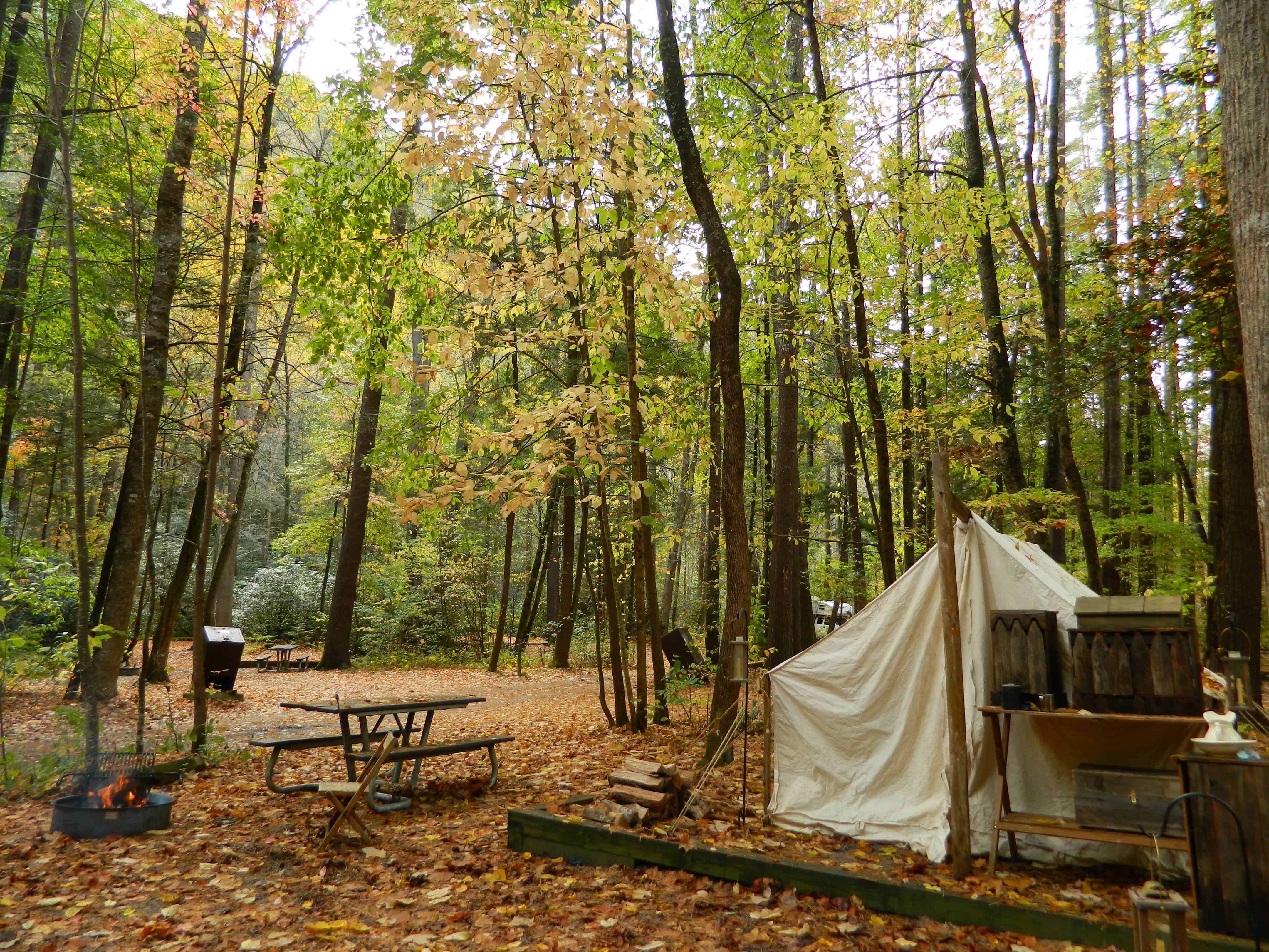 Cataloochee Campground