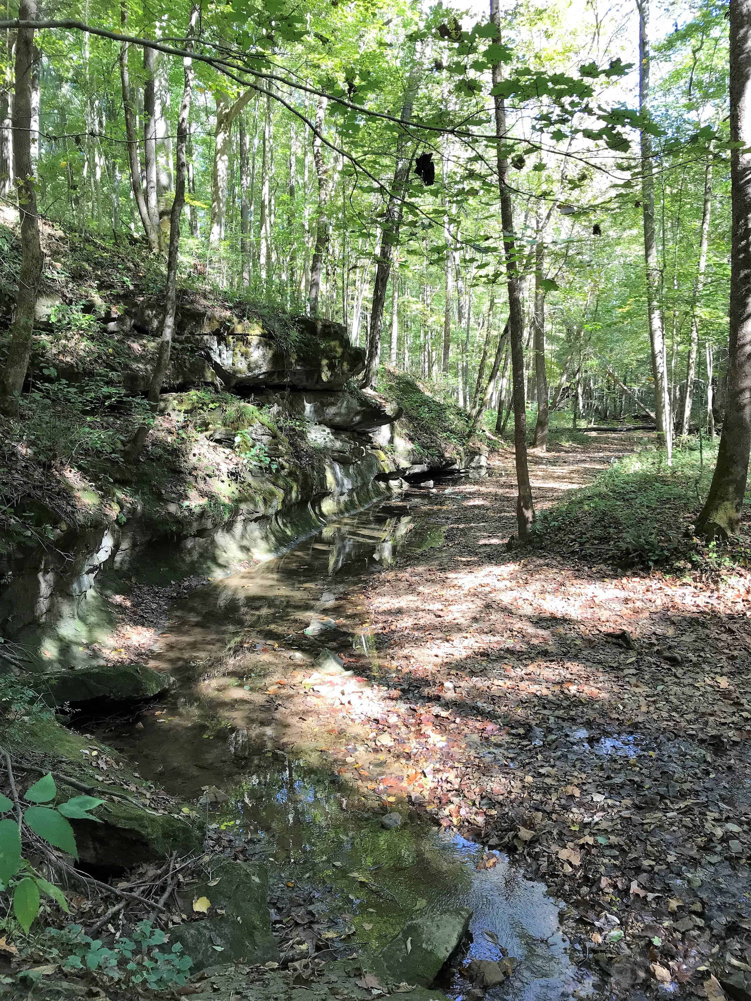 McCormick's Creek State Park