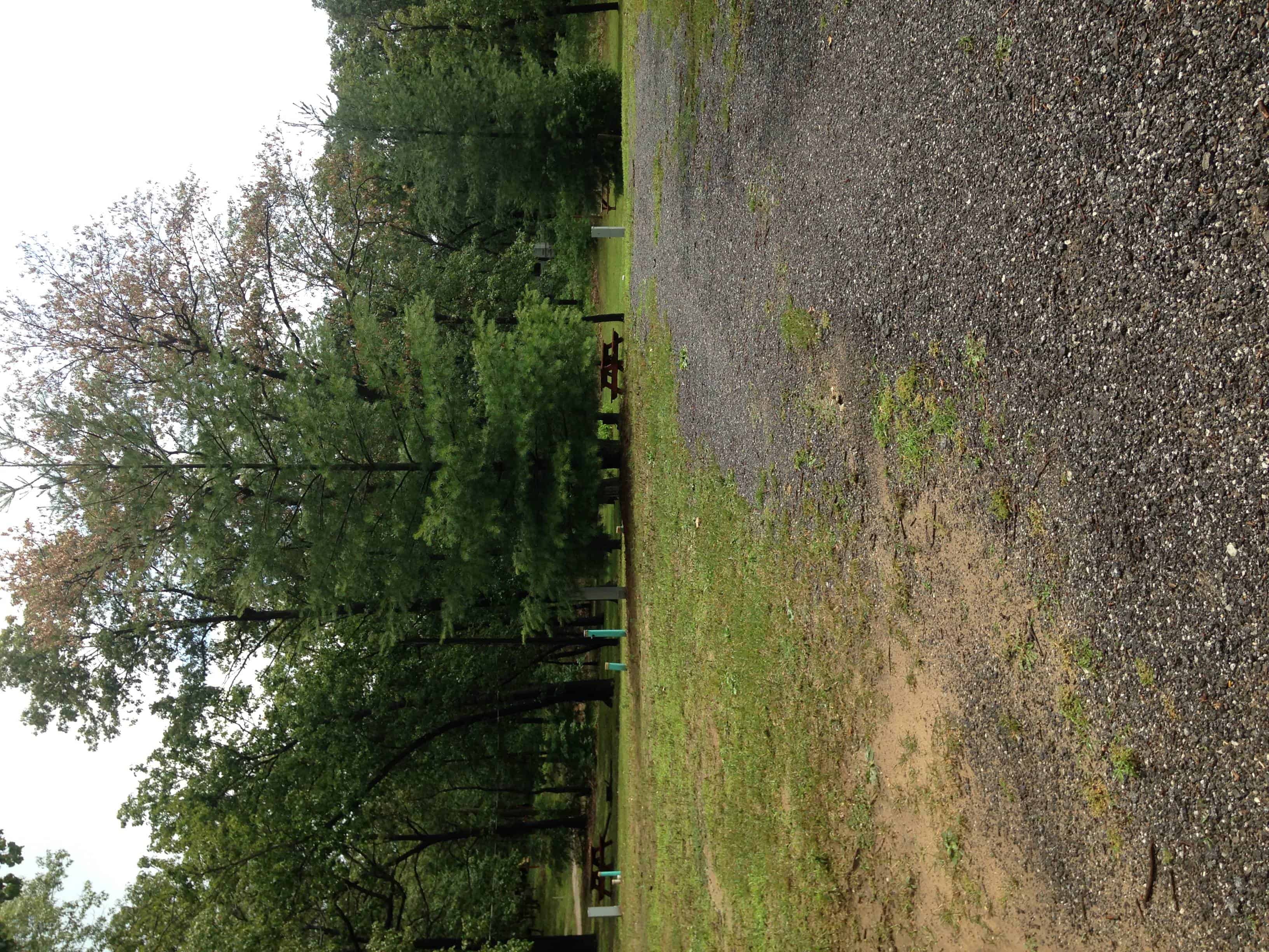 Pioneer Family Campground